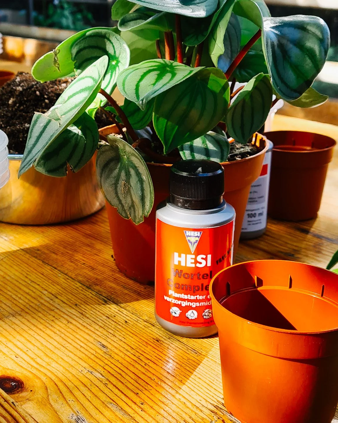 Innogreen - 🌱 Voor groei, wortelgroei en stevigheid. Dat is waar Innogreen GreenFields voor is