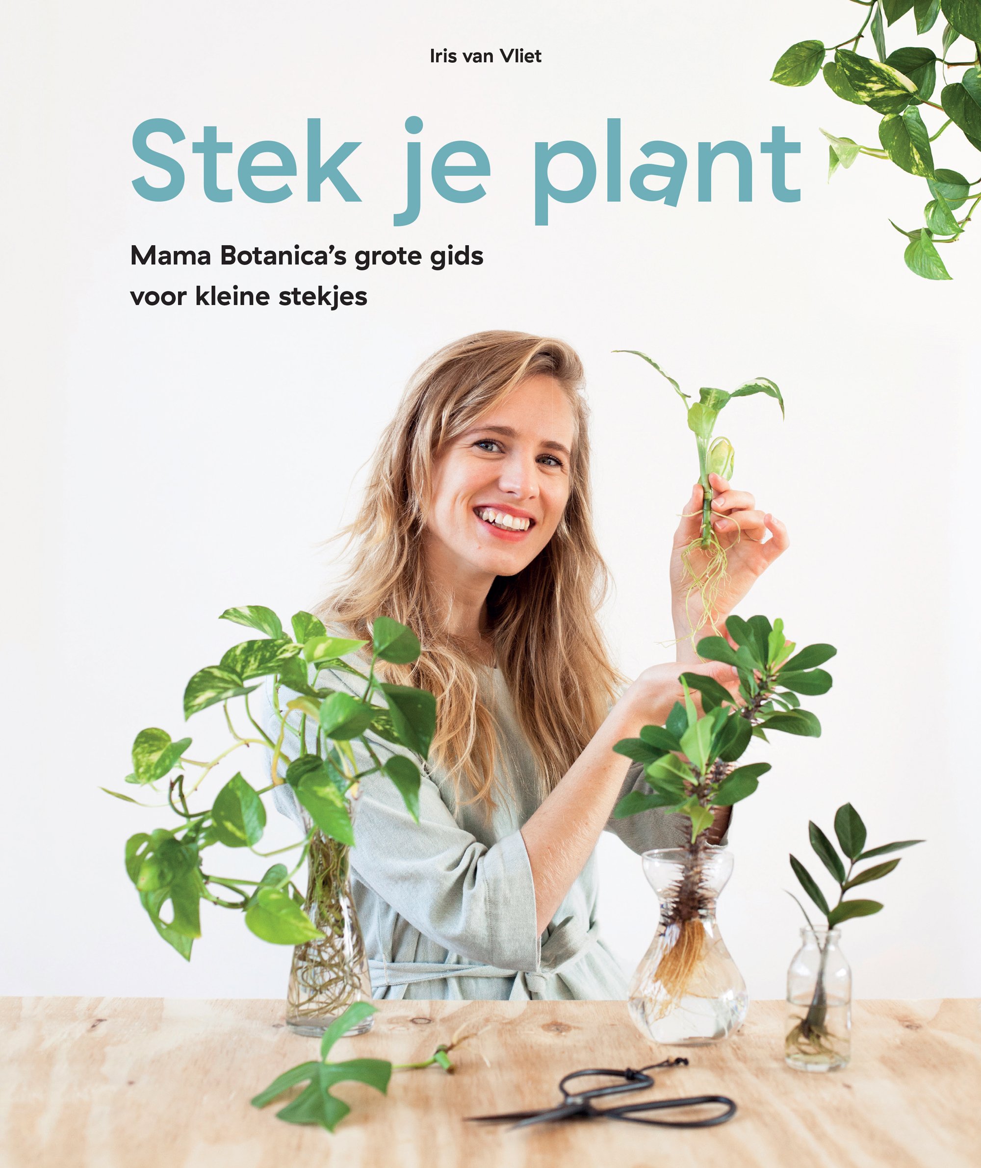 grond Wierook binnen 5 must-have kamerplanten boeken — Mama Botanica