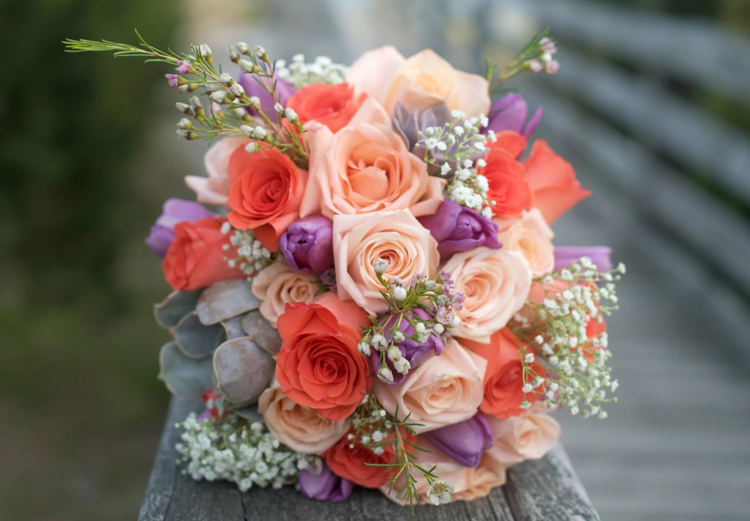 Flower2.jpg