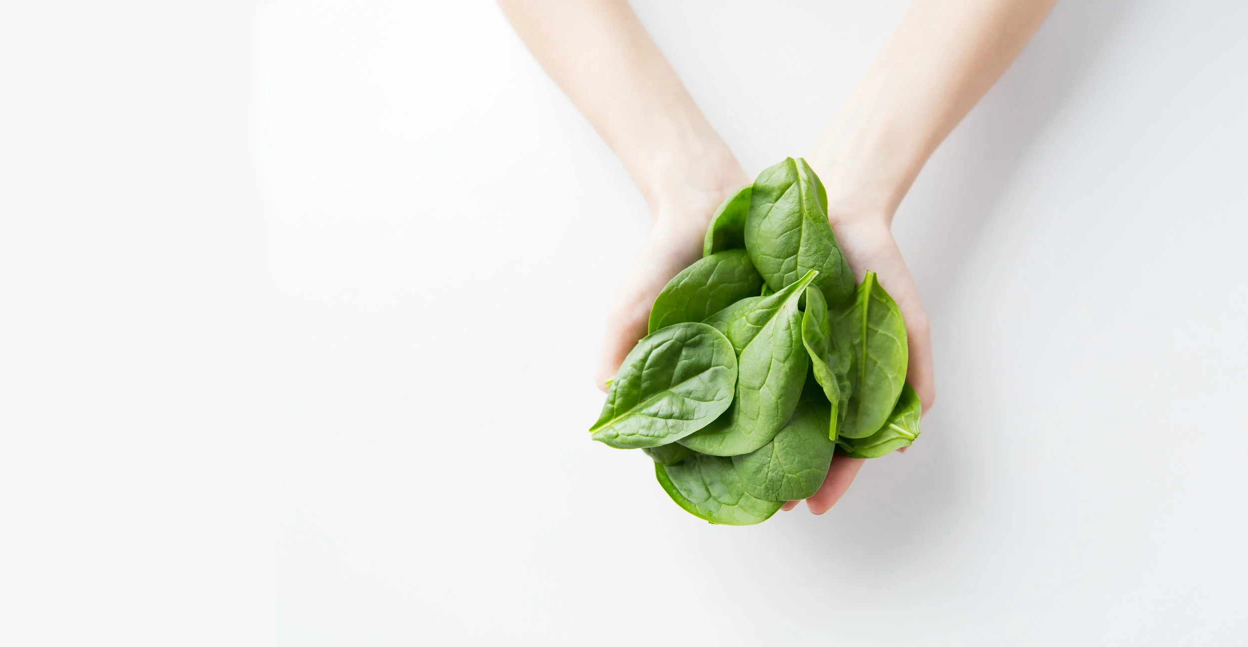 spinach - hands extend.jpg