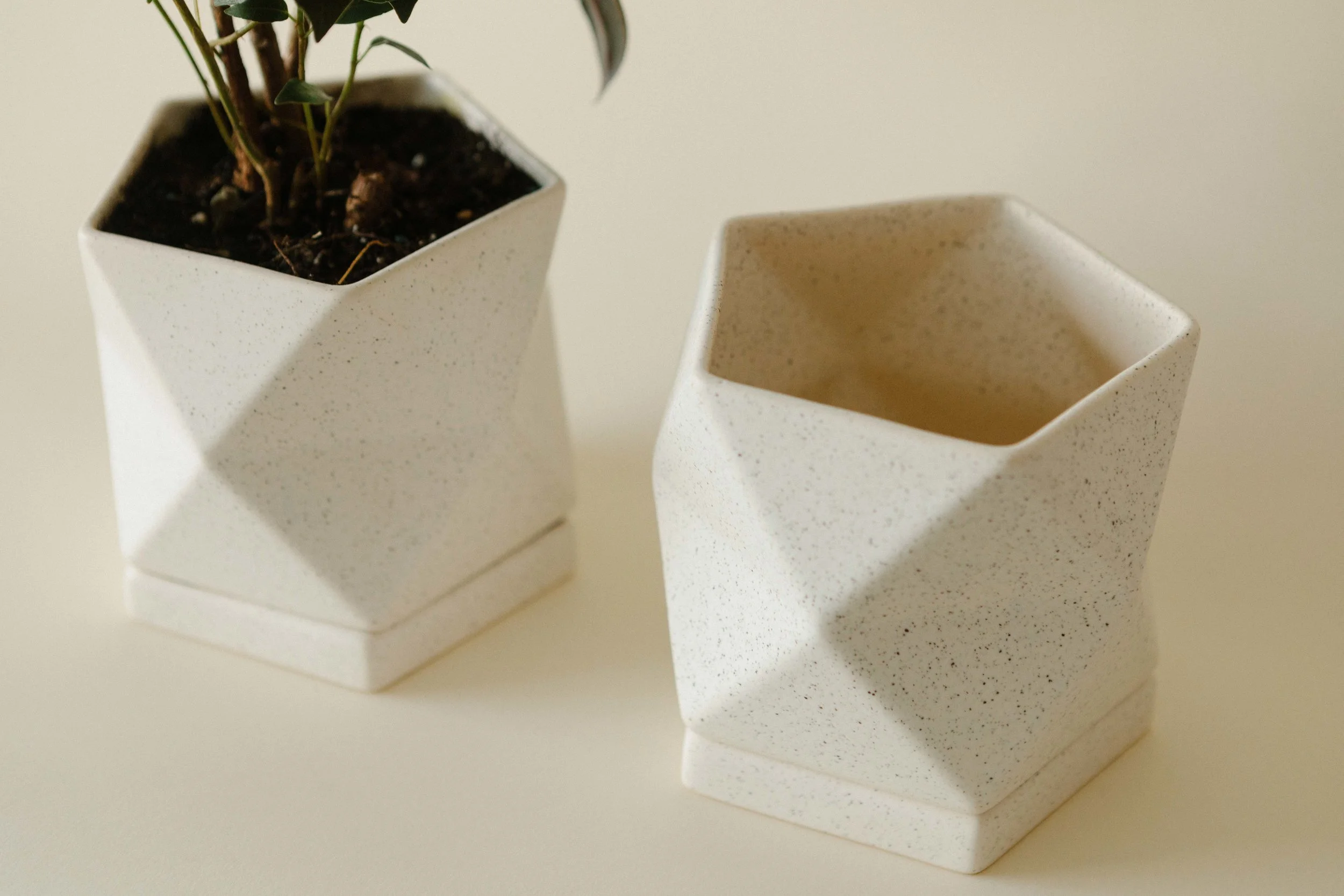 FUTUREANDFAUNA_PRODUCT-3640.jpg
