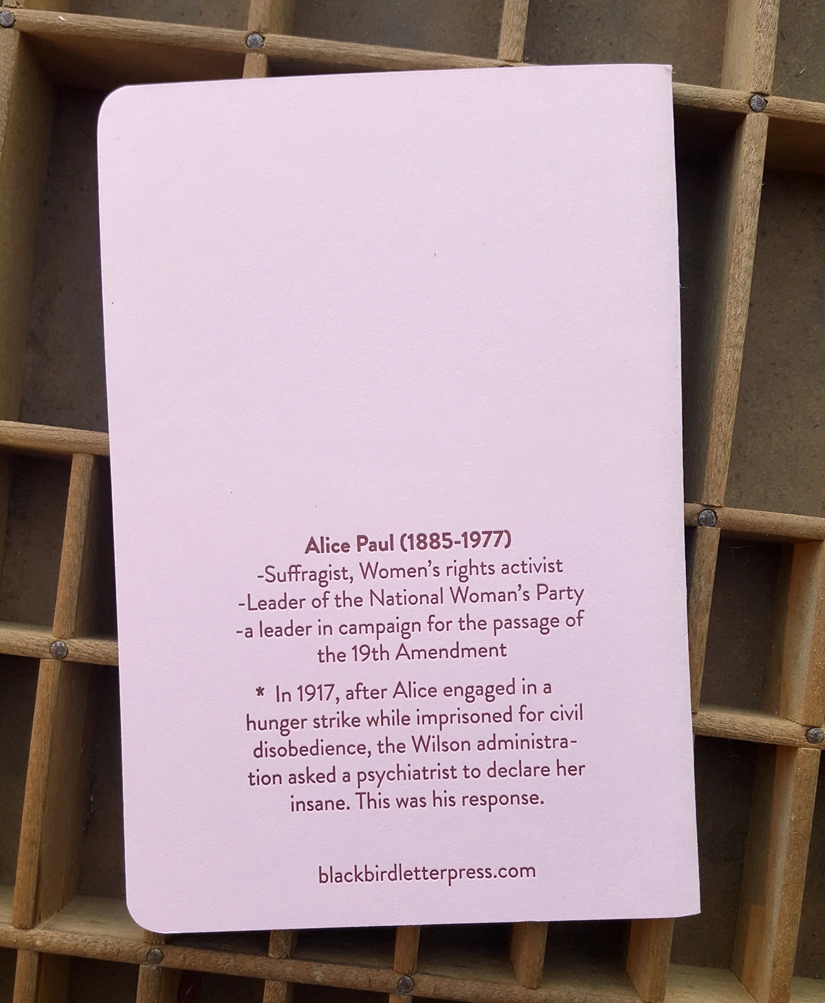 ALICE NOTEBOOK_2.jpg