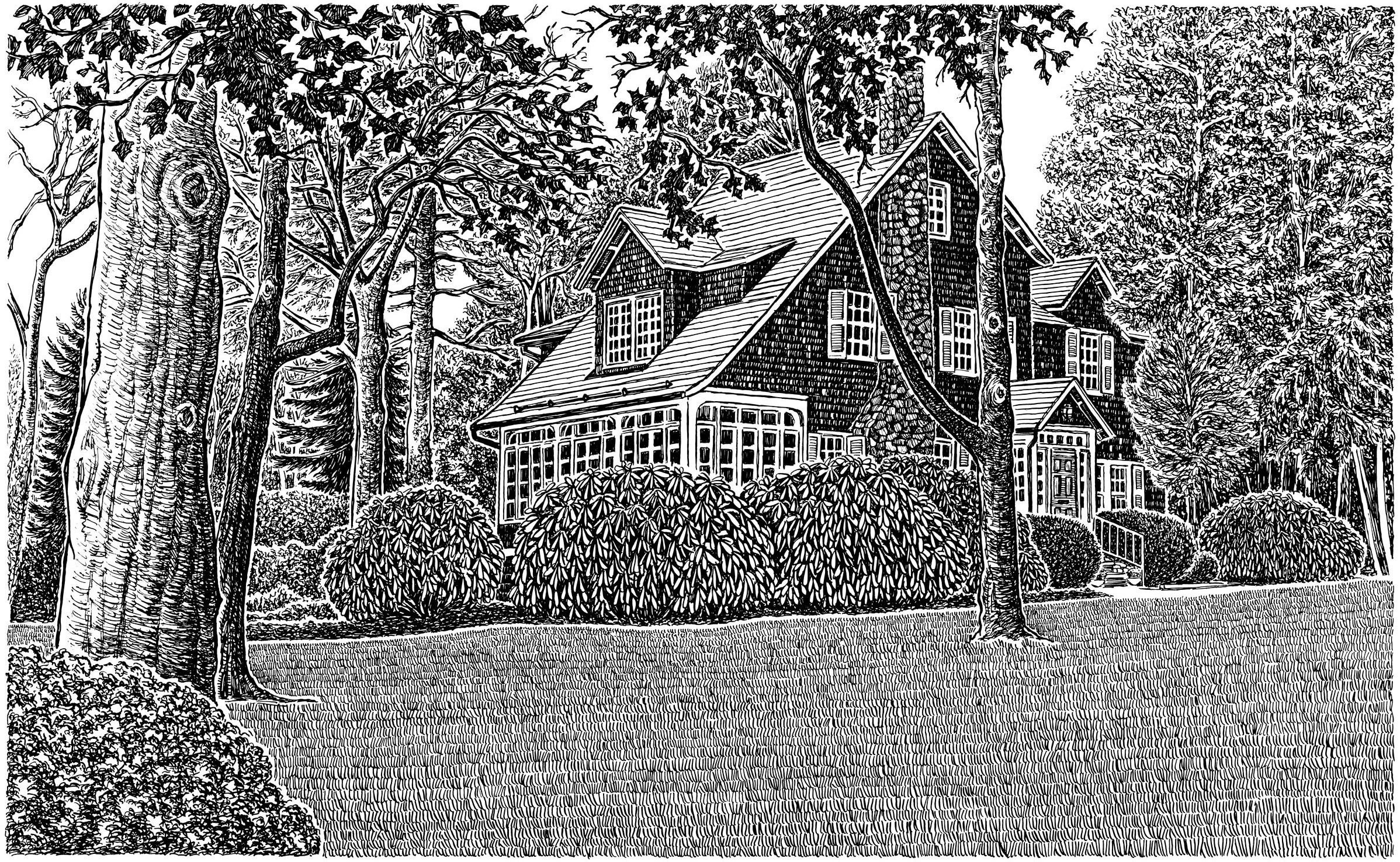 Ridgewd_HeroHouse1a_1200_2400px_4sqr.jpg