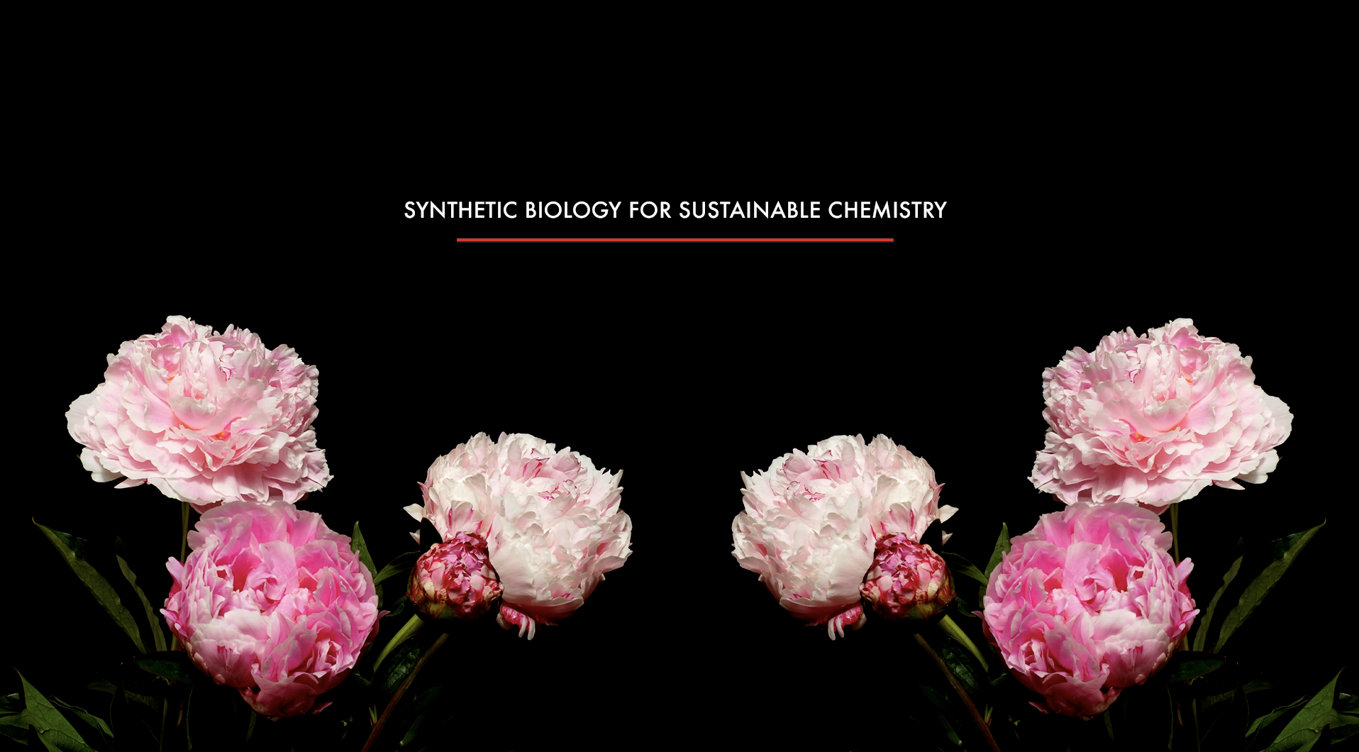 Screen Shot 2018-12-17 at 12.58.24 PM.png