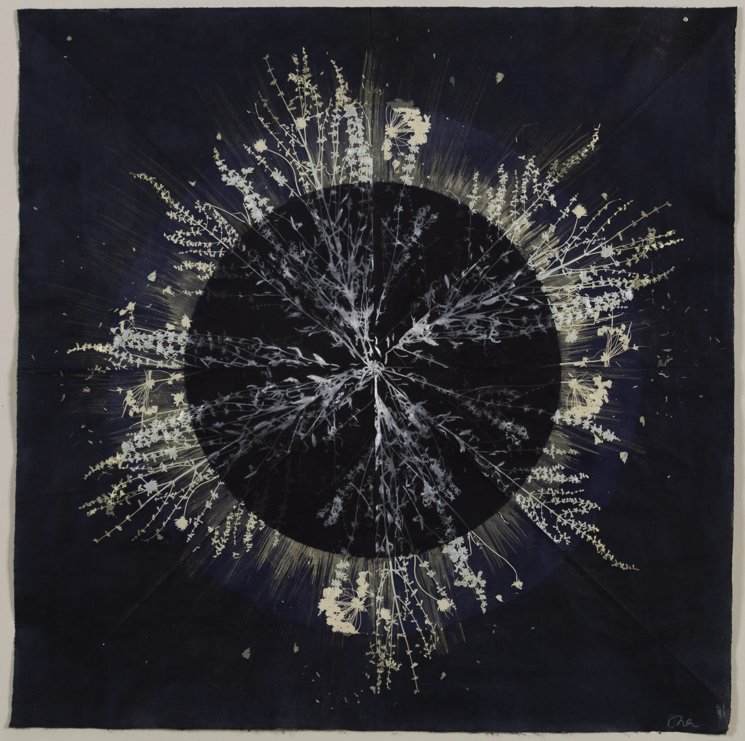 Core 18 (eclipse), 2017, 38" x 38", cyanotype, ink, mica on paper