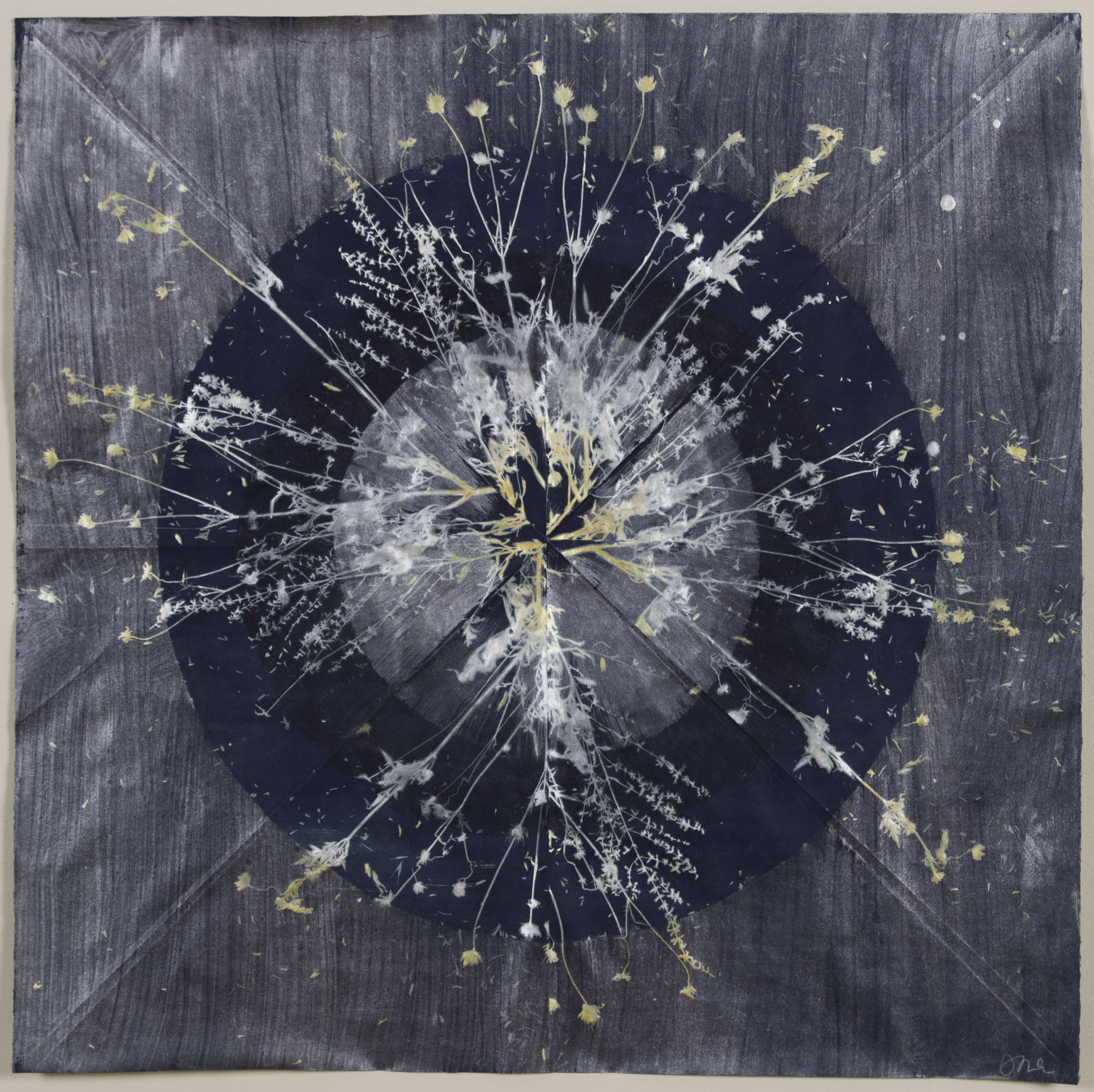 Core 15, 2017, 38" x 38", cyanotype, ink, mica on paper