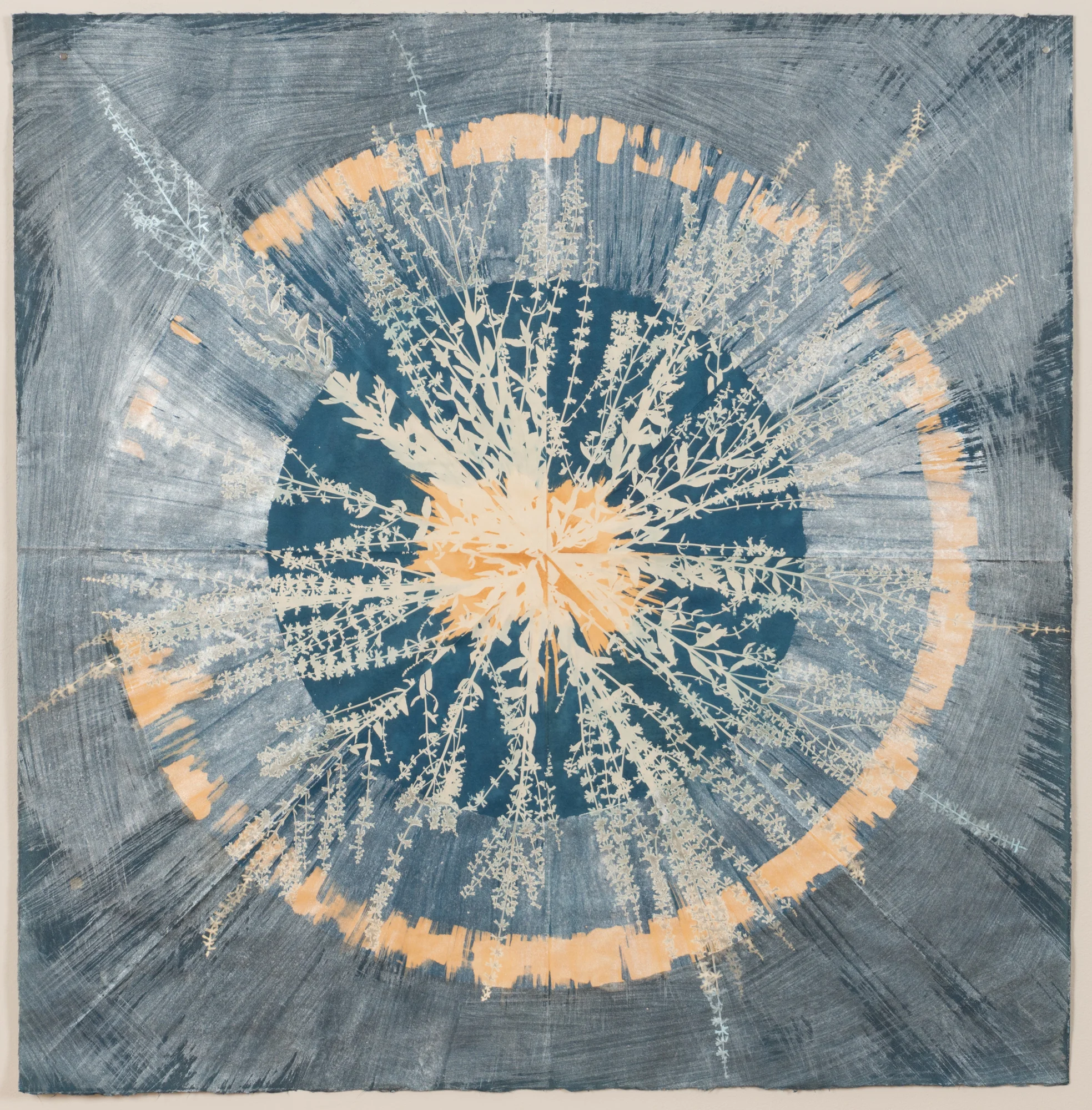 Core 13, 2017, 38" x 38", cyanotype, ink, mica on paper