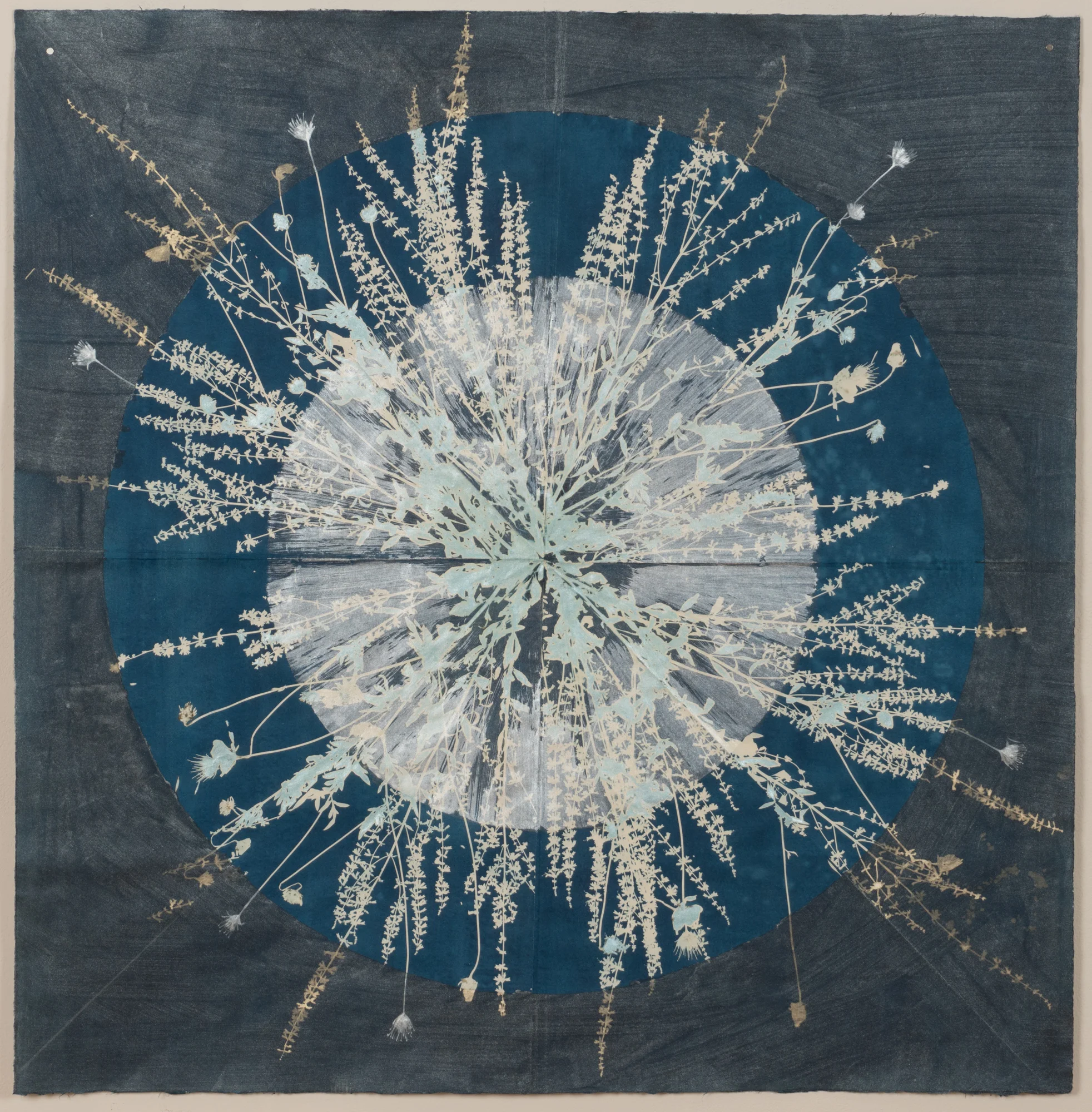 Core 11 (blue sage), 2017, 38" x 38", cyanotype, ink, mica on paper