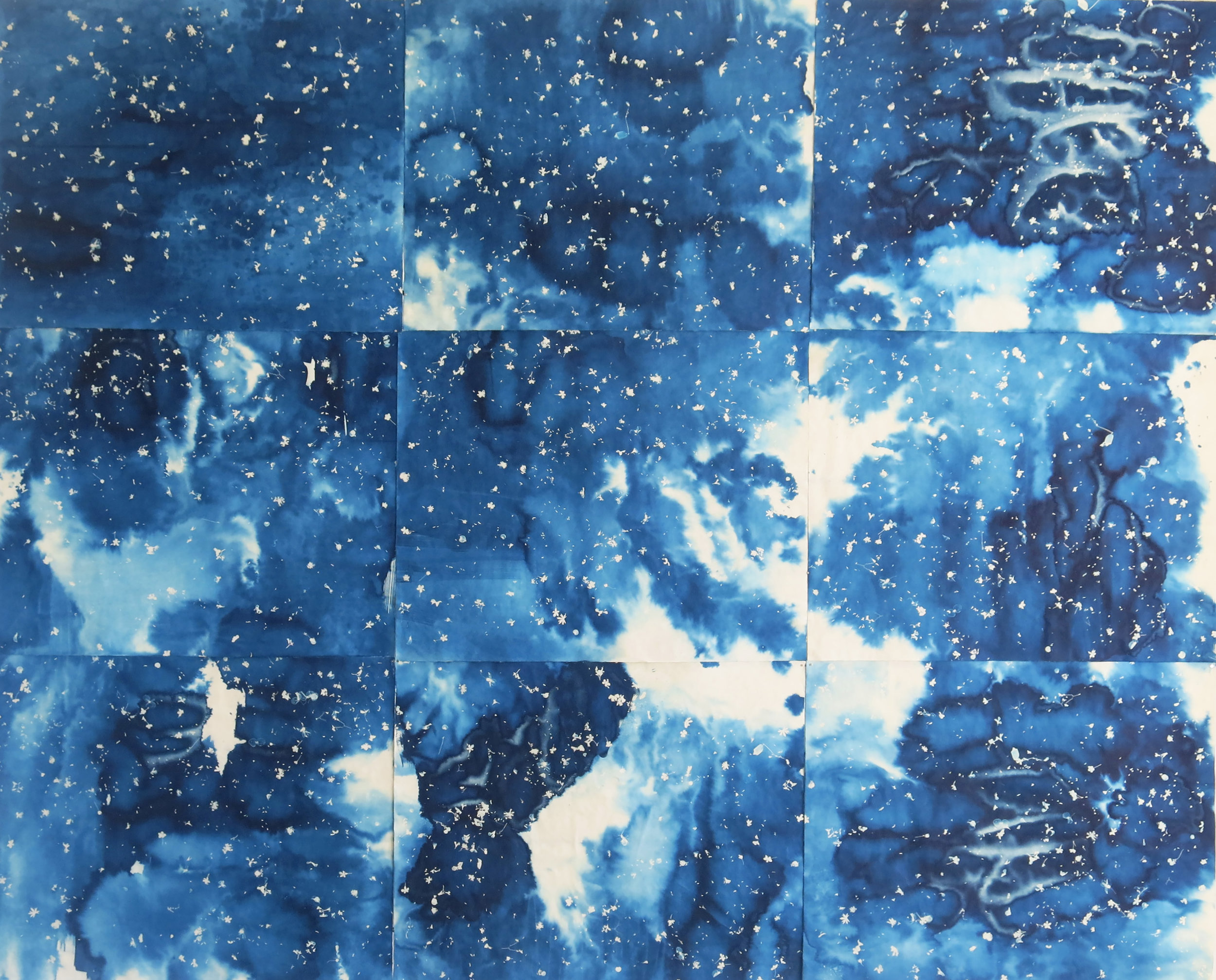 Large Cyanotypes — Danielle Rante
