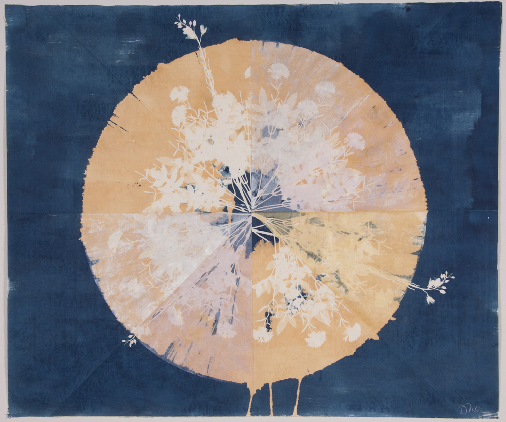 Core 1, 2015, 38" x 45", cyanotype, silkscreen on paper