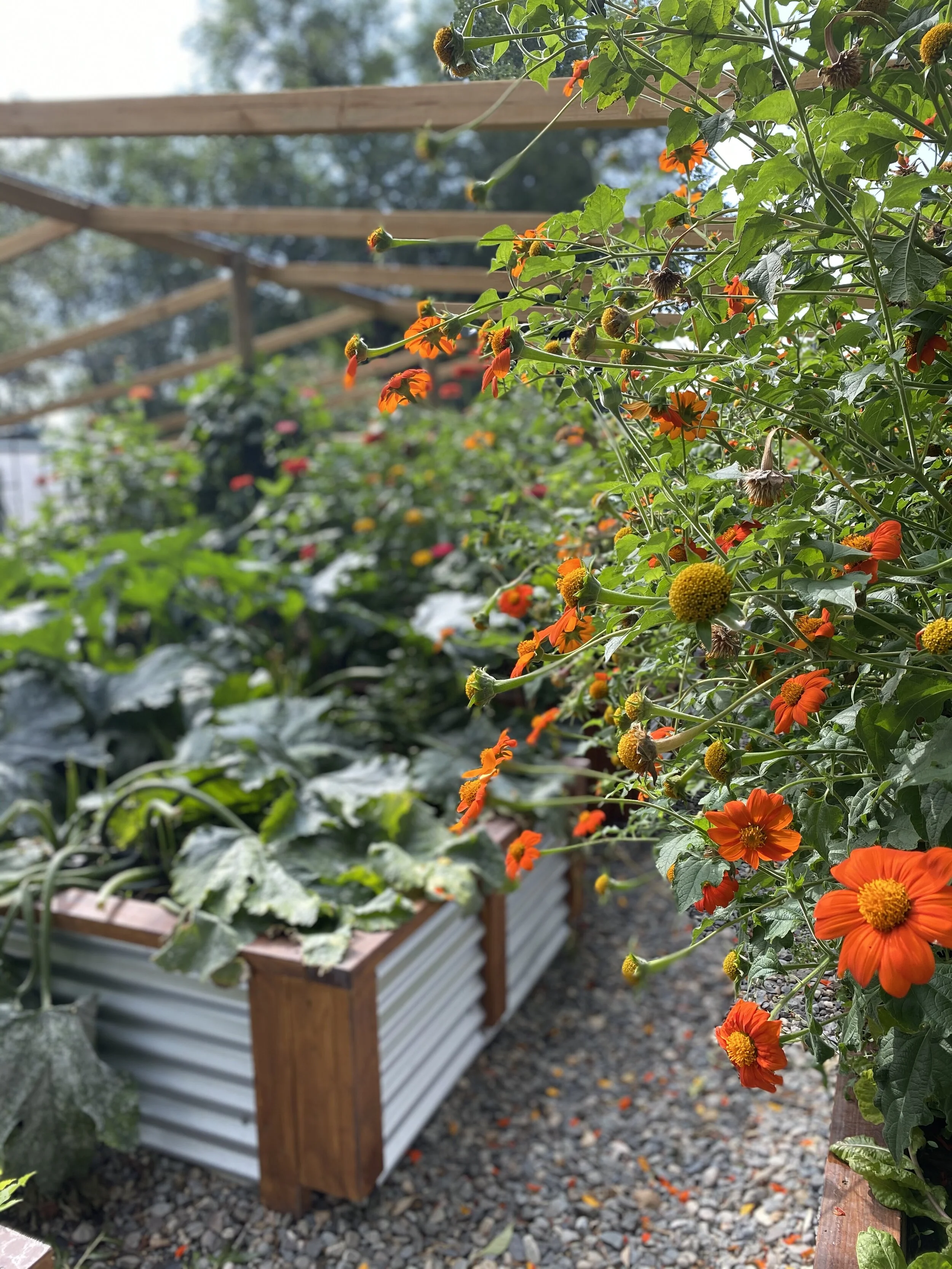 Project Unveil! #awholenewview Part 2