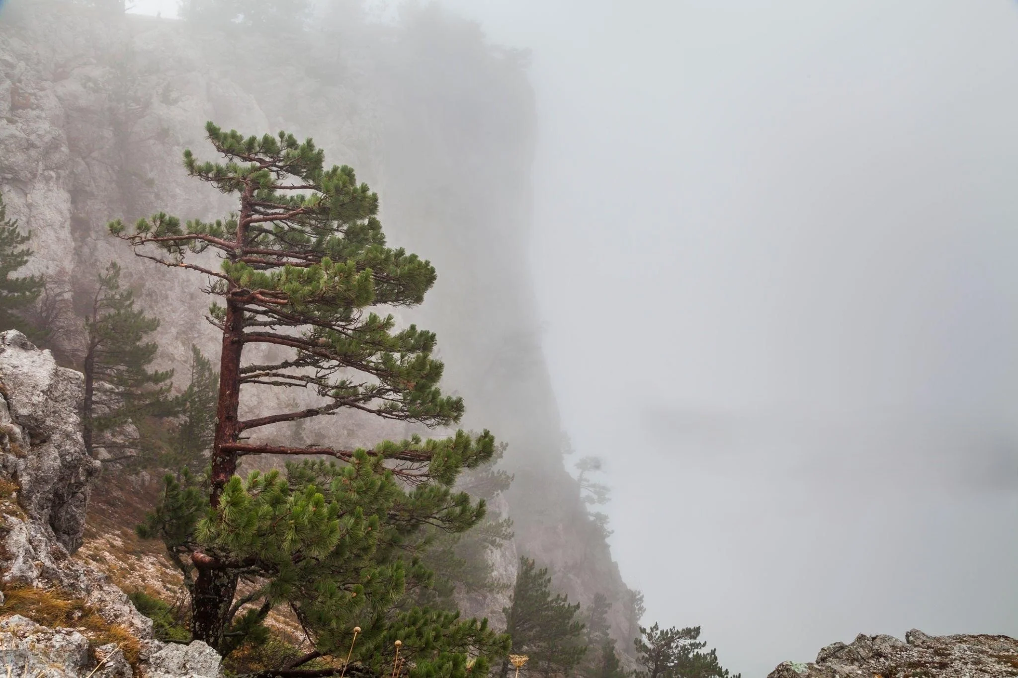 AI Data Stack Portfolio Update &amp; Exciting BIG NEWS on Verseon International Inc.