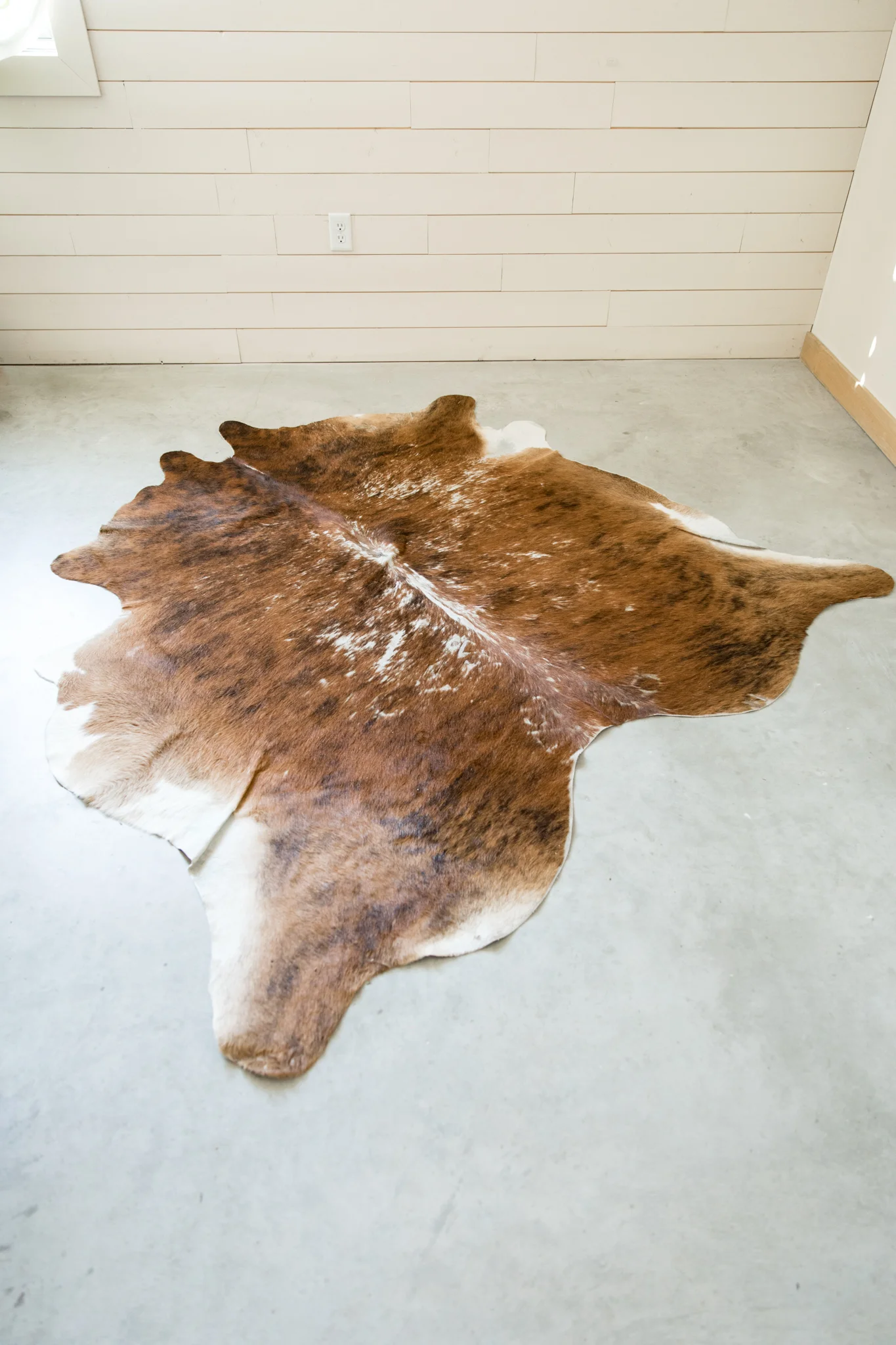 Molly Rug