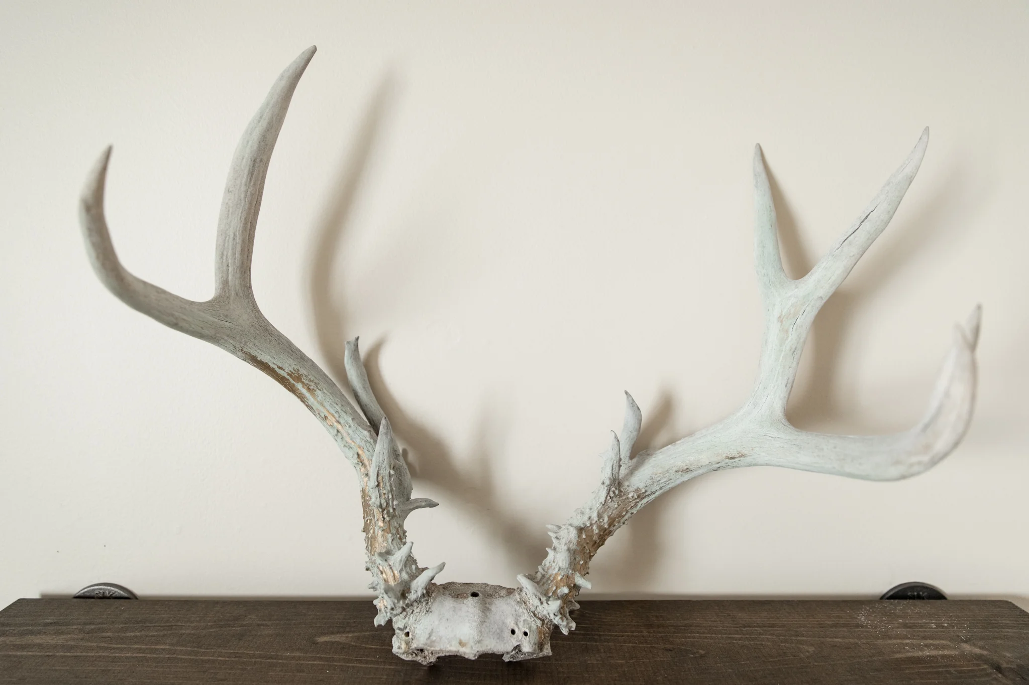 Antlers