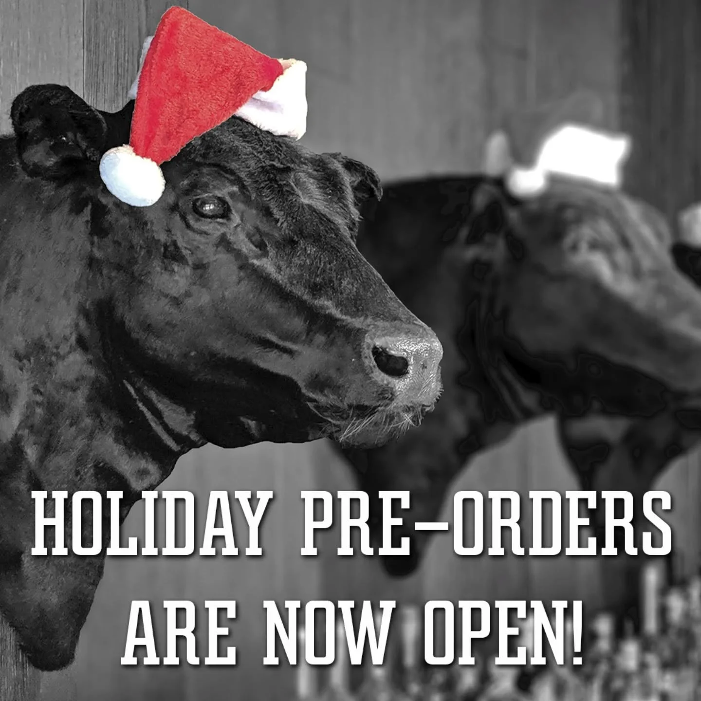 WE ARE NOW ACCEPTING HOLIDAY PRE-ORDERS!!!
🎄🎄🎄All orders are to be placed via online ordering at our website www.zzqrva.com (see link in bio)

👇🏻👇🏻👇🏻
PICKUP WILL BE MONDAY DEC 24TH BETWEEN 10AM - 1PM >>> PLEASE CHOOSE THIS OPTION WH