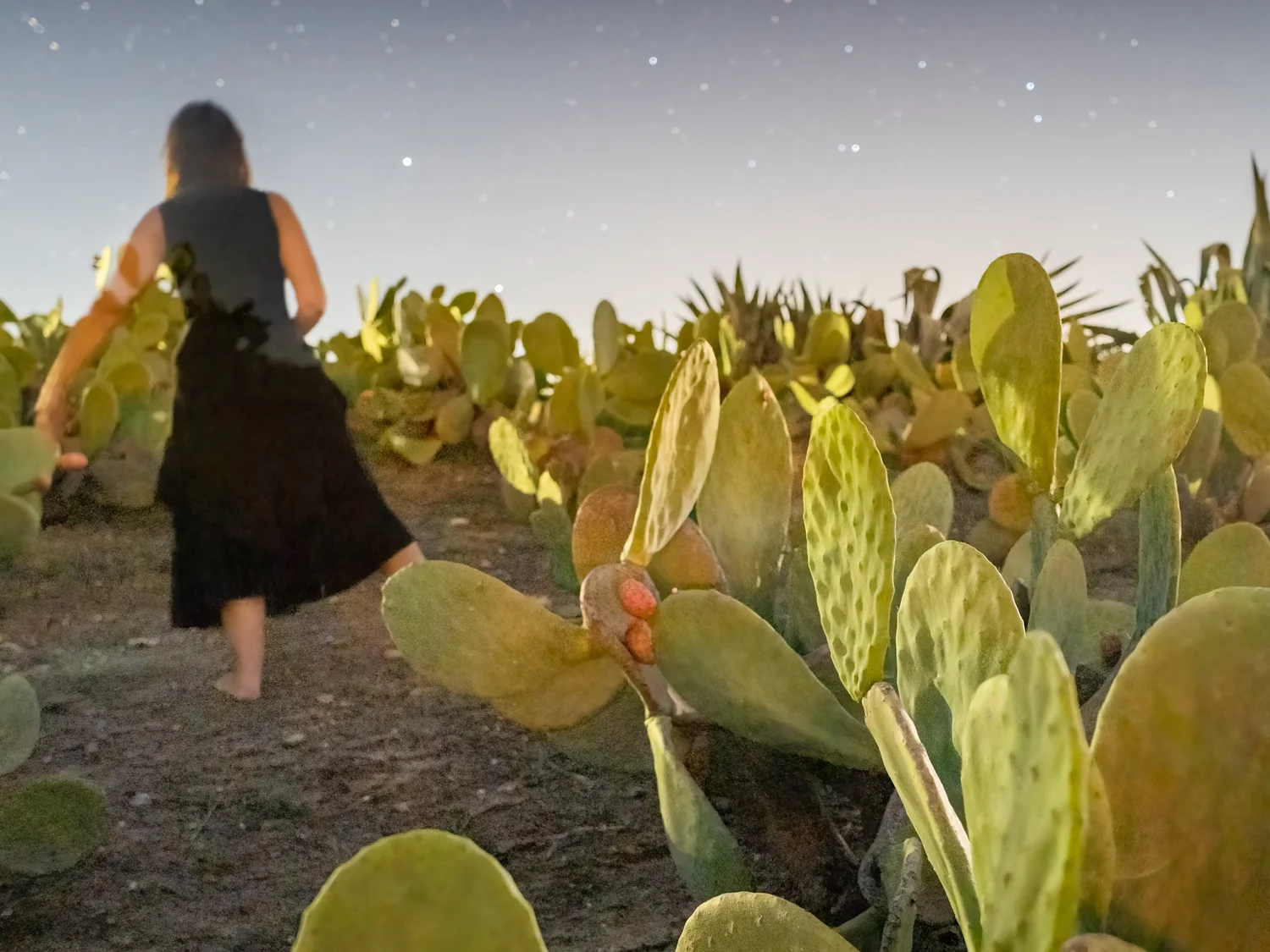 About — Ann Prochilo