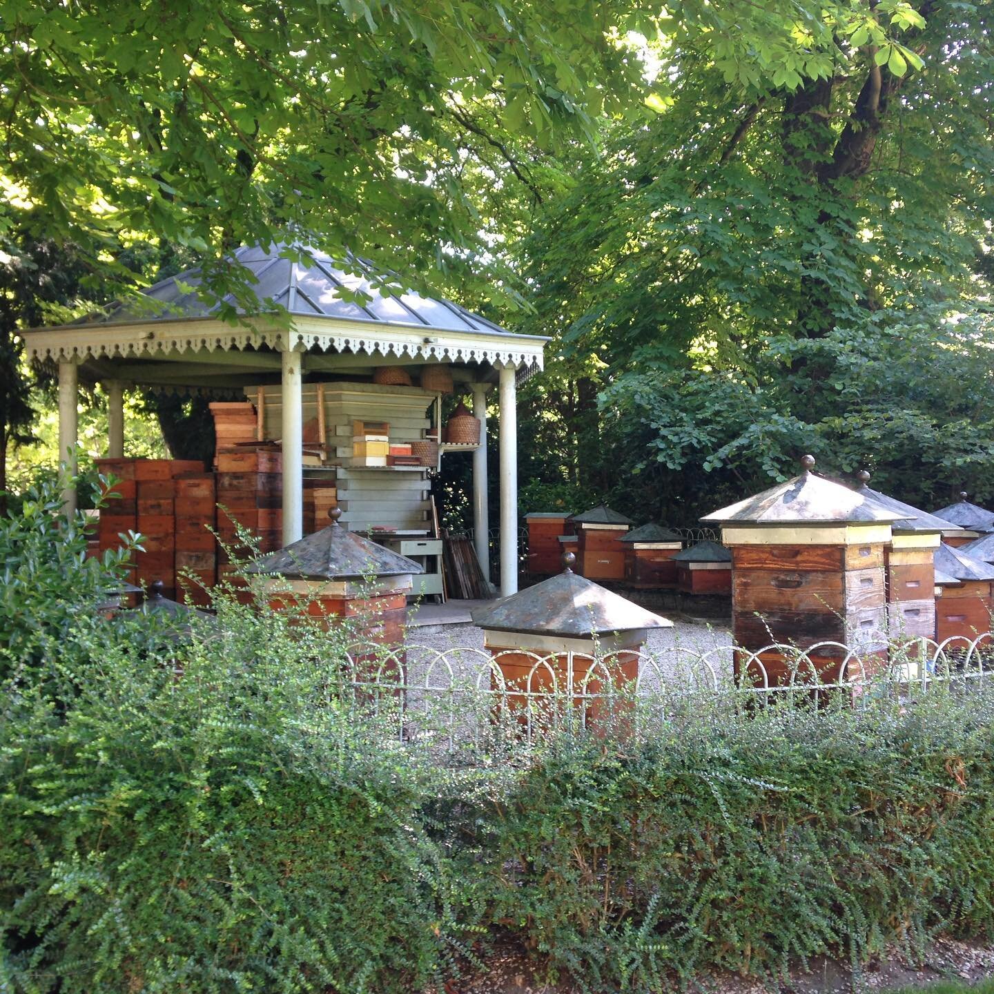 More Paris... the impressive apiary in Luxembourg Gardens is a little hidden from view, sited well away from paths and open public thoroughfares, perhaps for good reason as the honeybees were intense. Copper roofed frames, a charming pavilion stacked