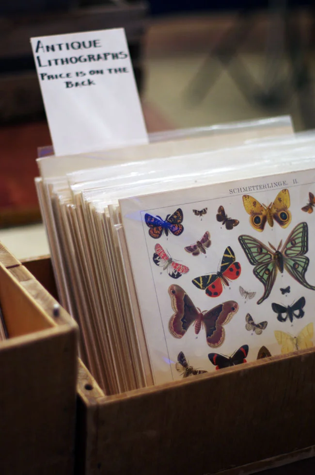 ENDLICH GEFUNDEN: EINE STERNENKARTE FÜR UNSERE KÜCHE 