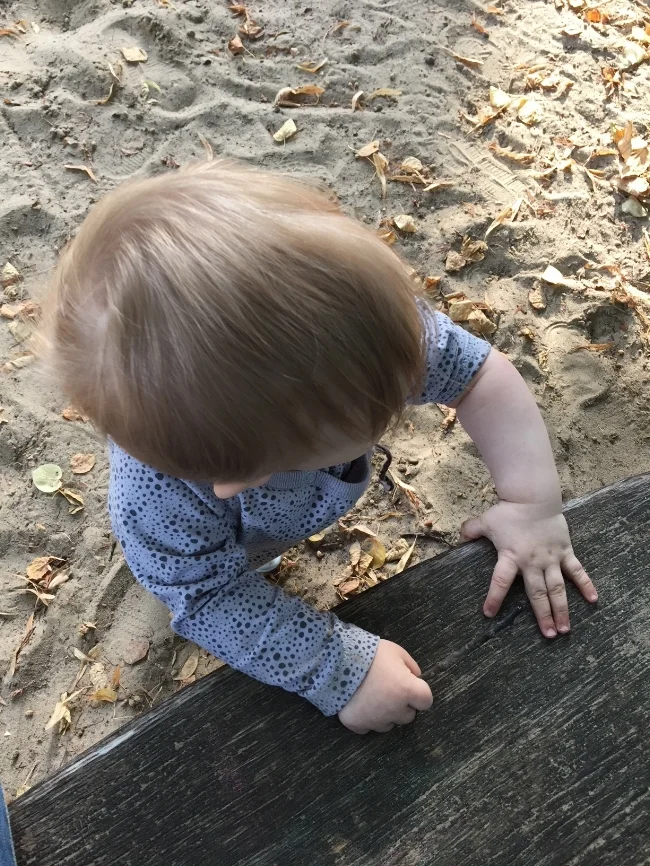 DER SEPTEMBER 2017 (UND WAS IHN GUT GEMACHT HAT)