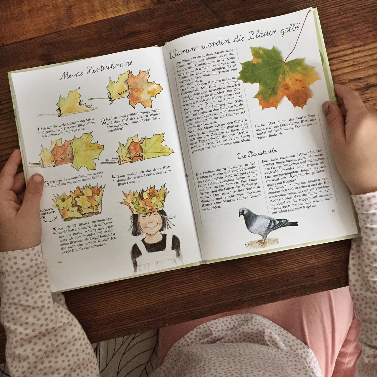 KINDERBÜCHER, DIE WIR GERADE GERNE LESEN
