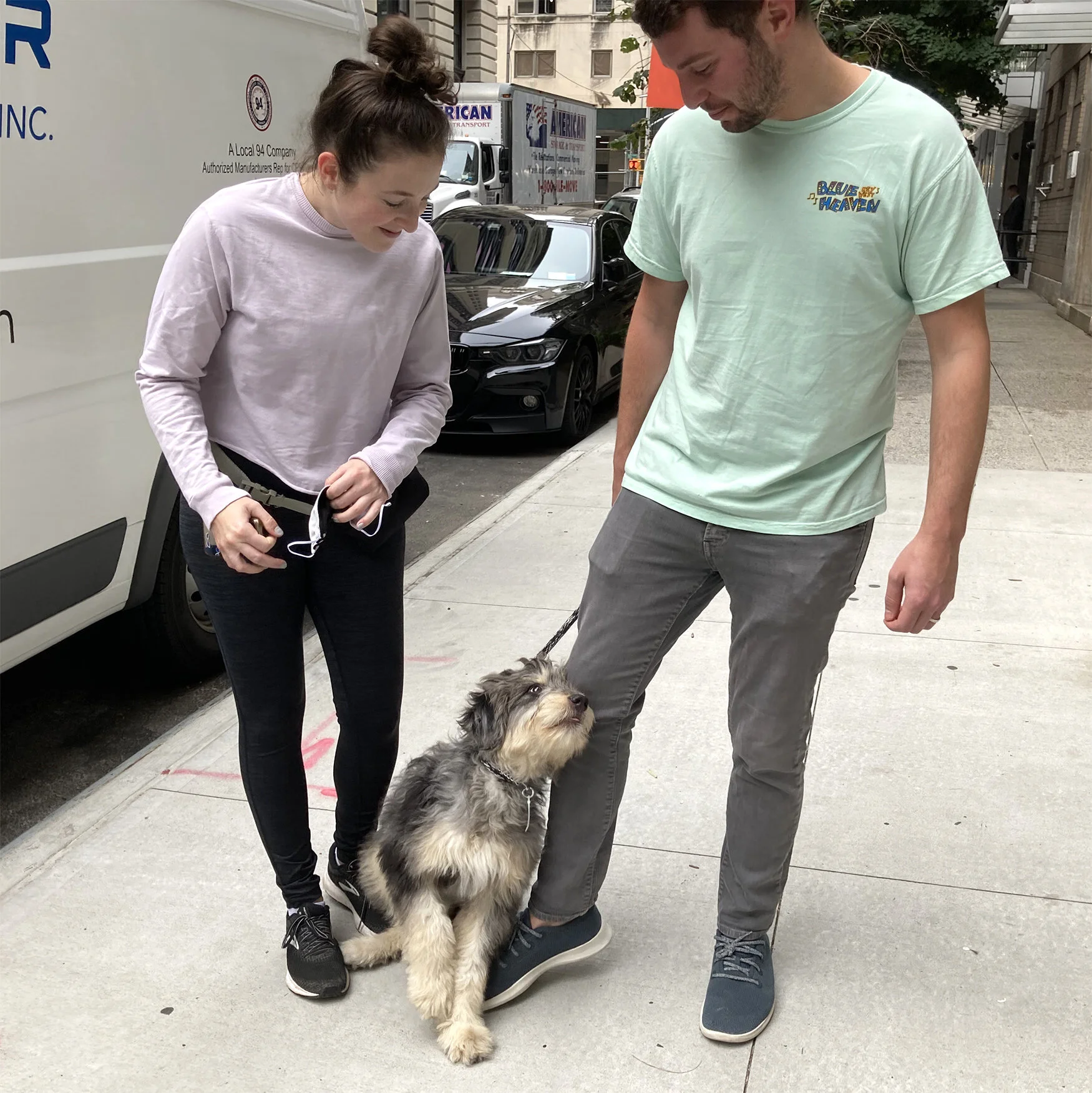 almost heaven k9 training