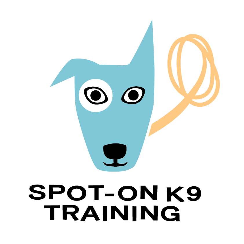 Stand Proud K9 Training visitchile.cl