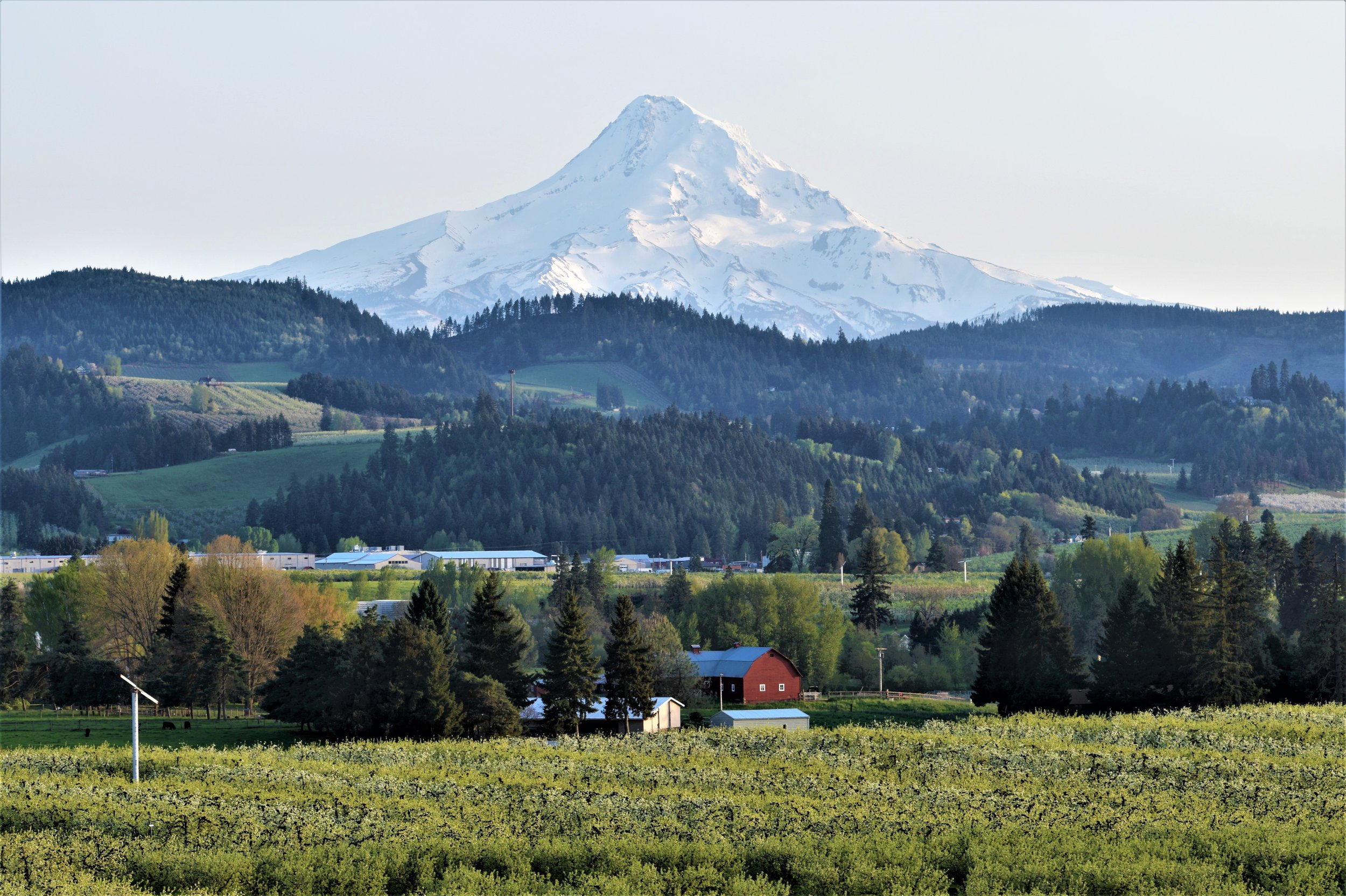 DSC_6155.jpg