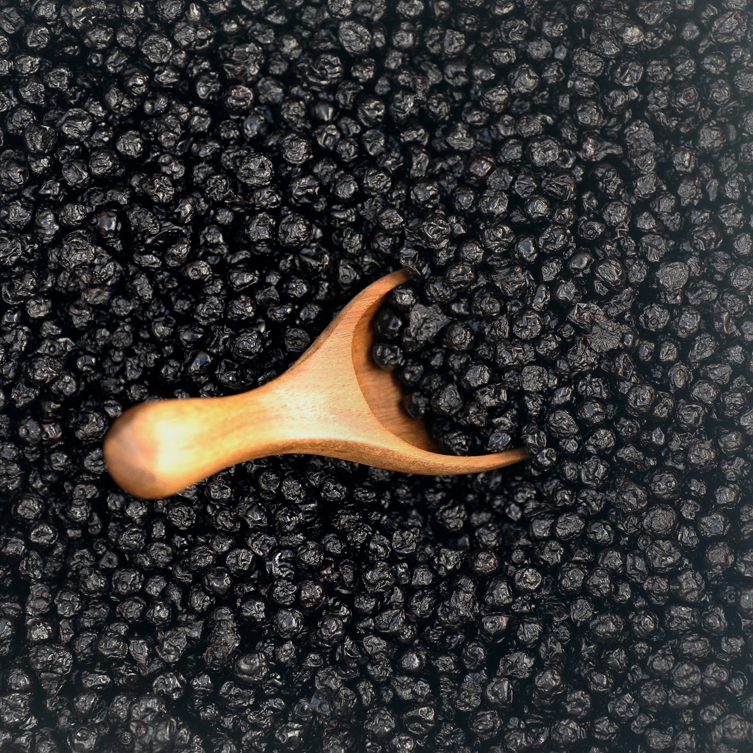dried-wild-blueberries.jpg