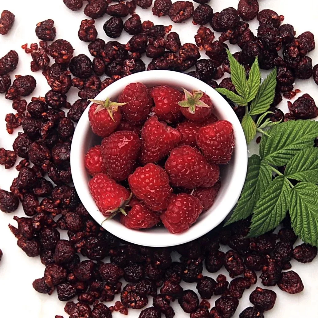 Bowl of fresh raspberries surrounded by infused dried raspberries