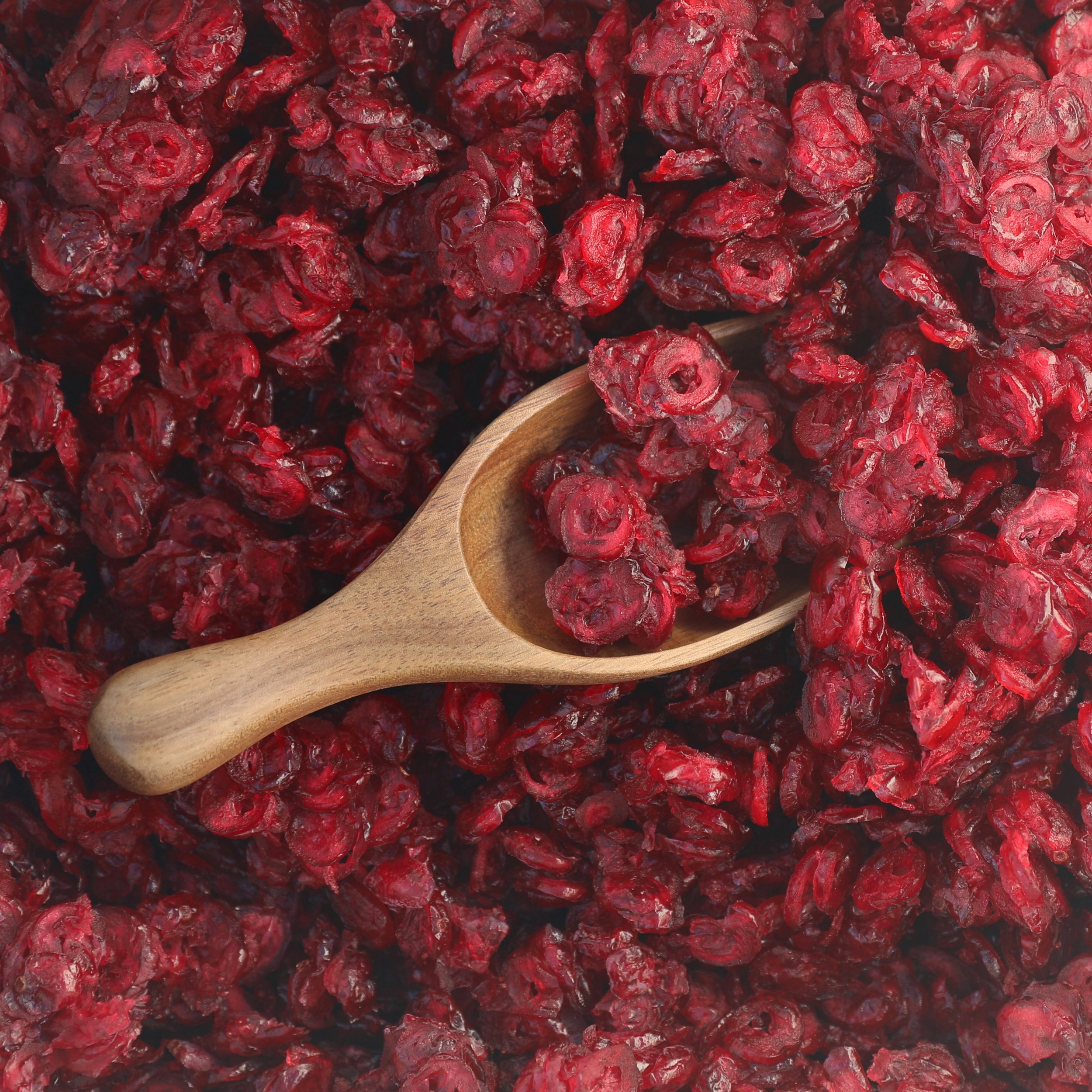 dried-cranberries.jpg