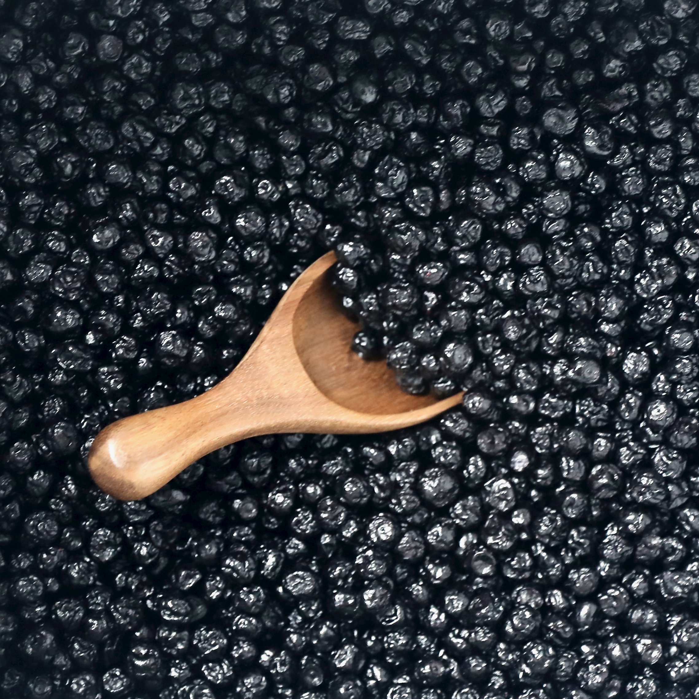 cultivated-blueberries.jpg