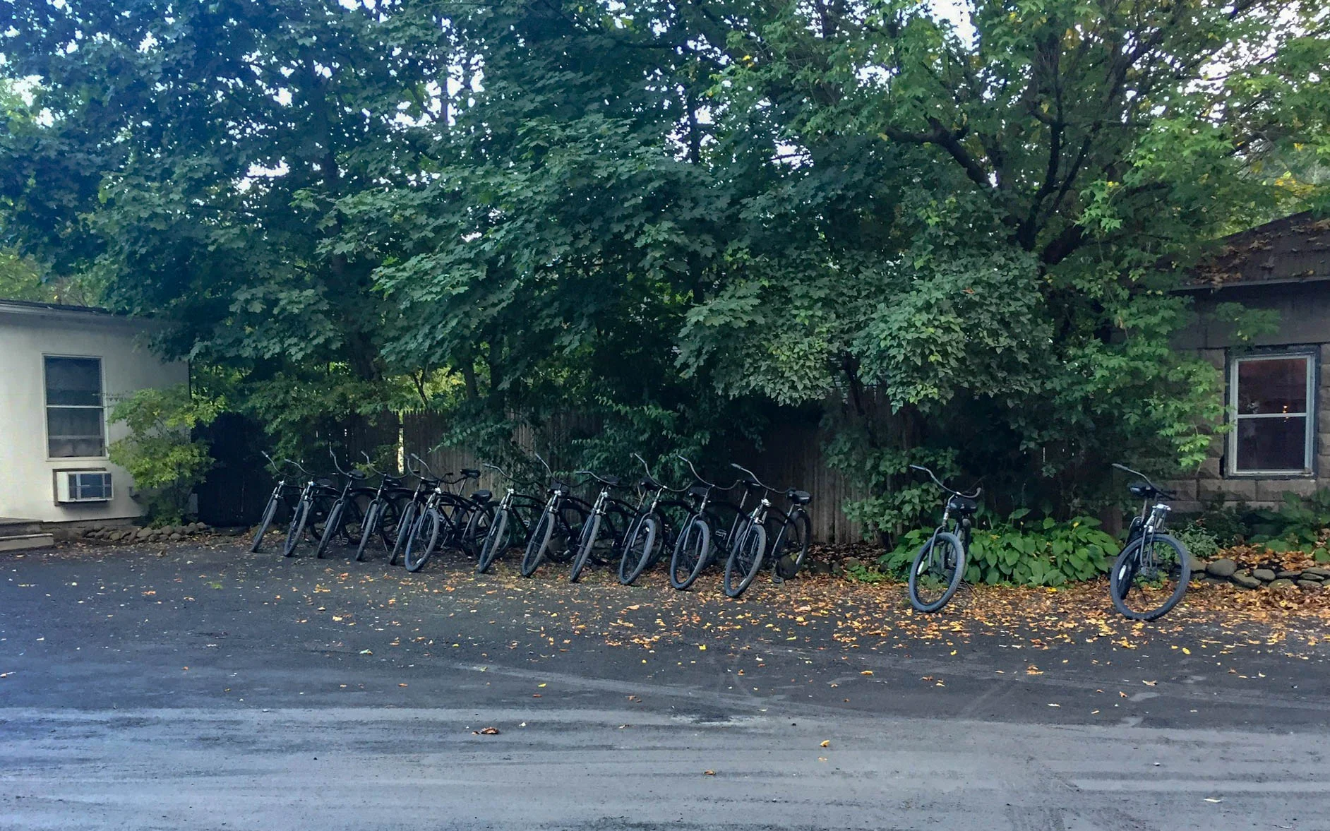 20170915-IMG_0221.jpg