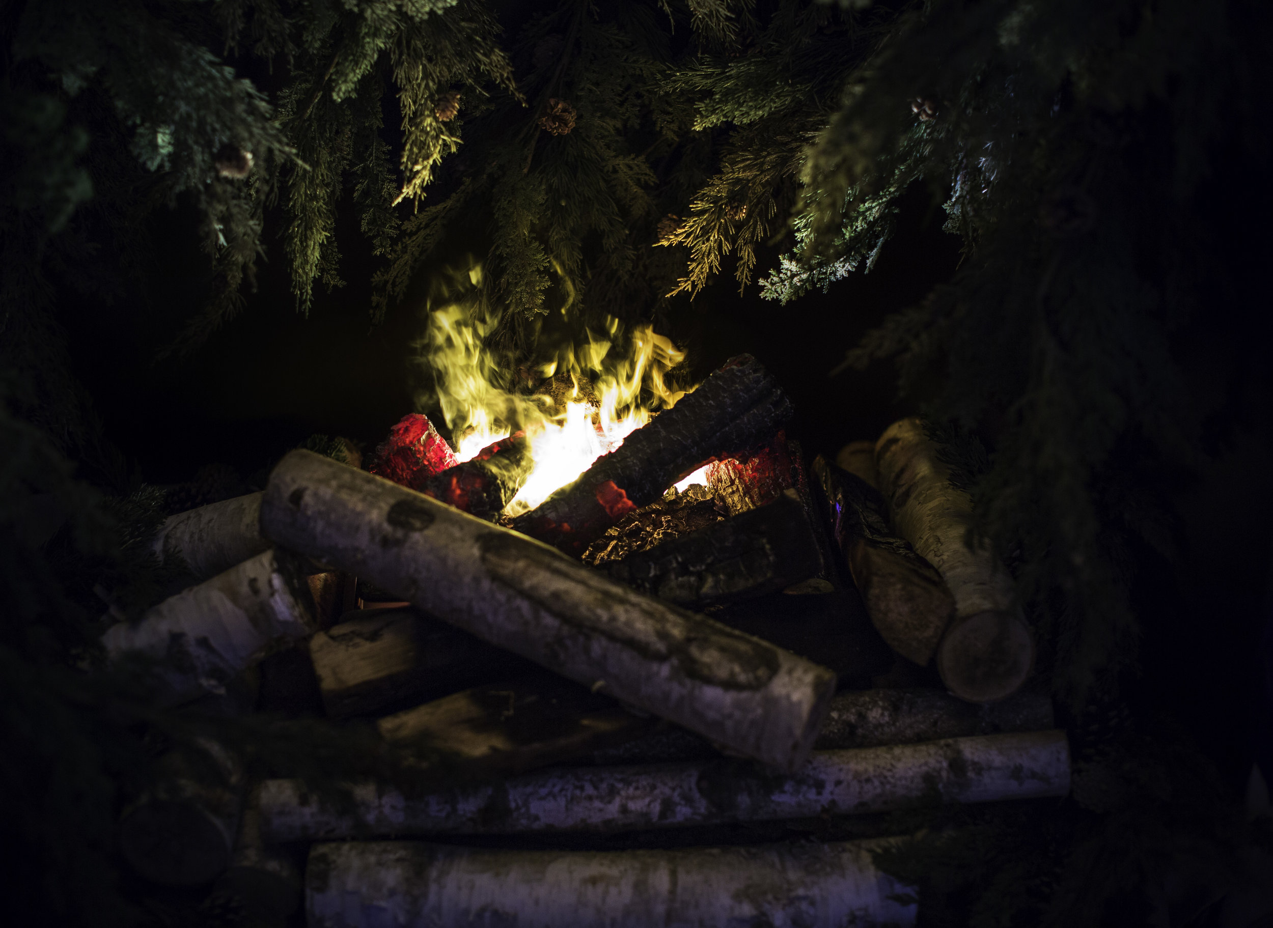 NDD Campfire (5).jpg