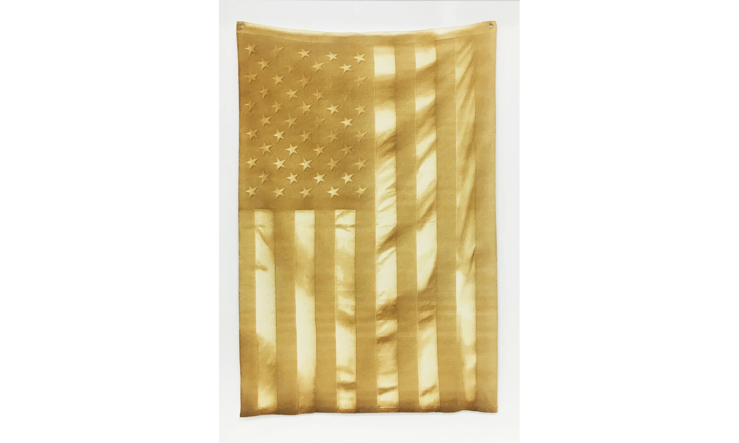 Untitled (Burned Flag) 2016 Laser etching on paper 32h x 22w in