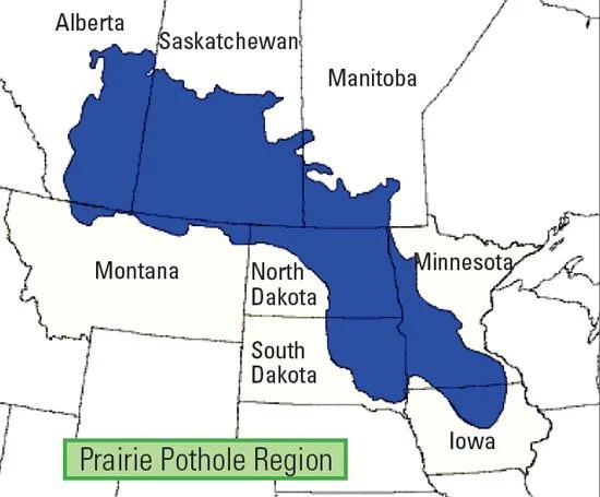 Image of the Prairie pothole region - courtesy of the United States Geological Survey