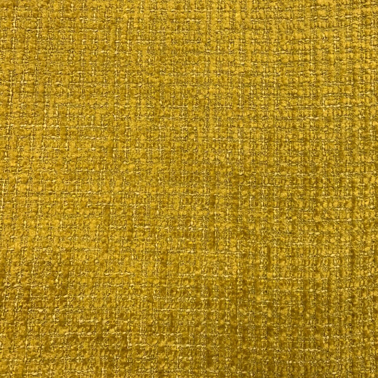 Rhode_Limoncello.jpg