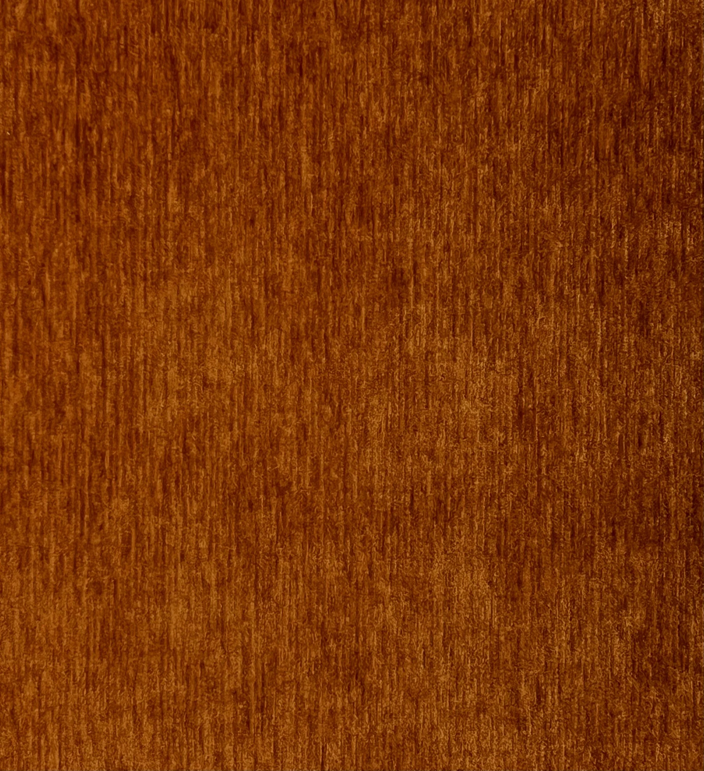 Kumon_Spice-18.jpg