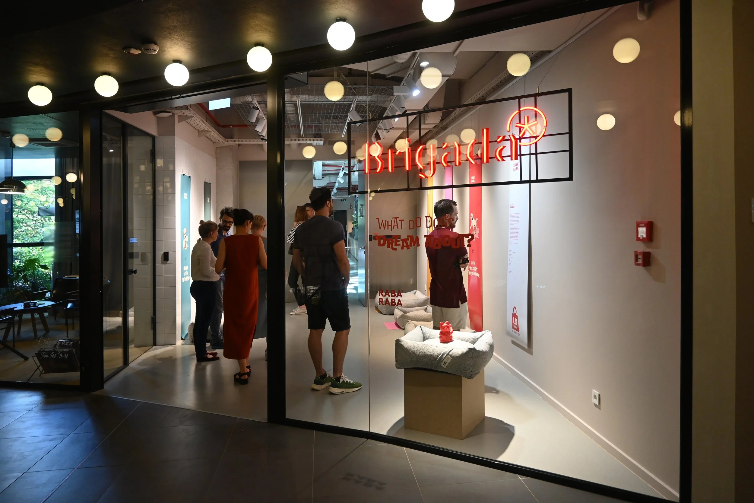   What do dogs dream about?   Dogs, much like humans, go through different stages of sleep. One of these stages is the REM phase, during which the most vivid dreams occur. Are their dreams similar to ours? What might dogs actually dream about?  In co