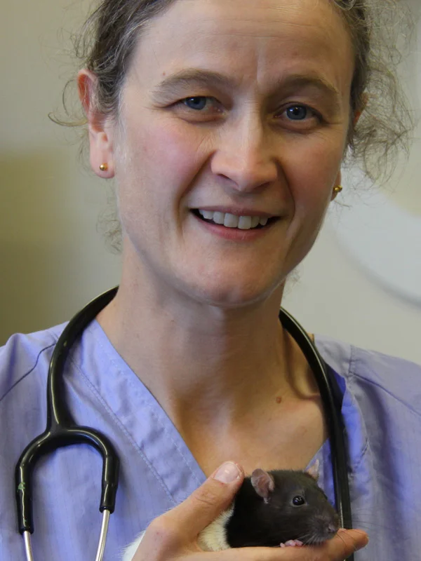 Vet_CathyHudson.jpg