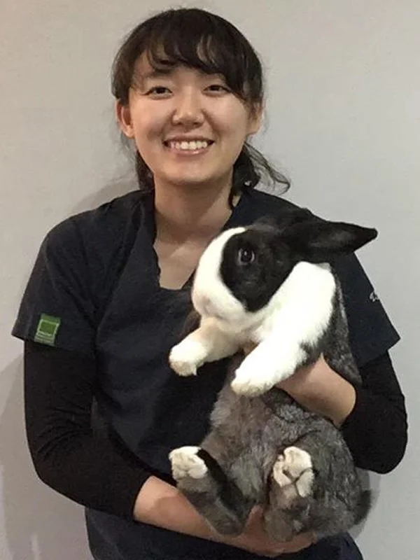 Vet_YuiTsutsumi.jpg