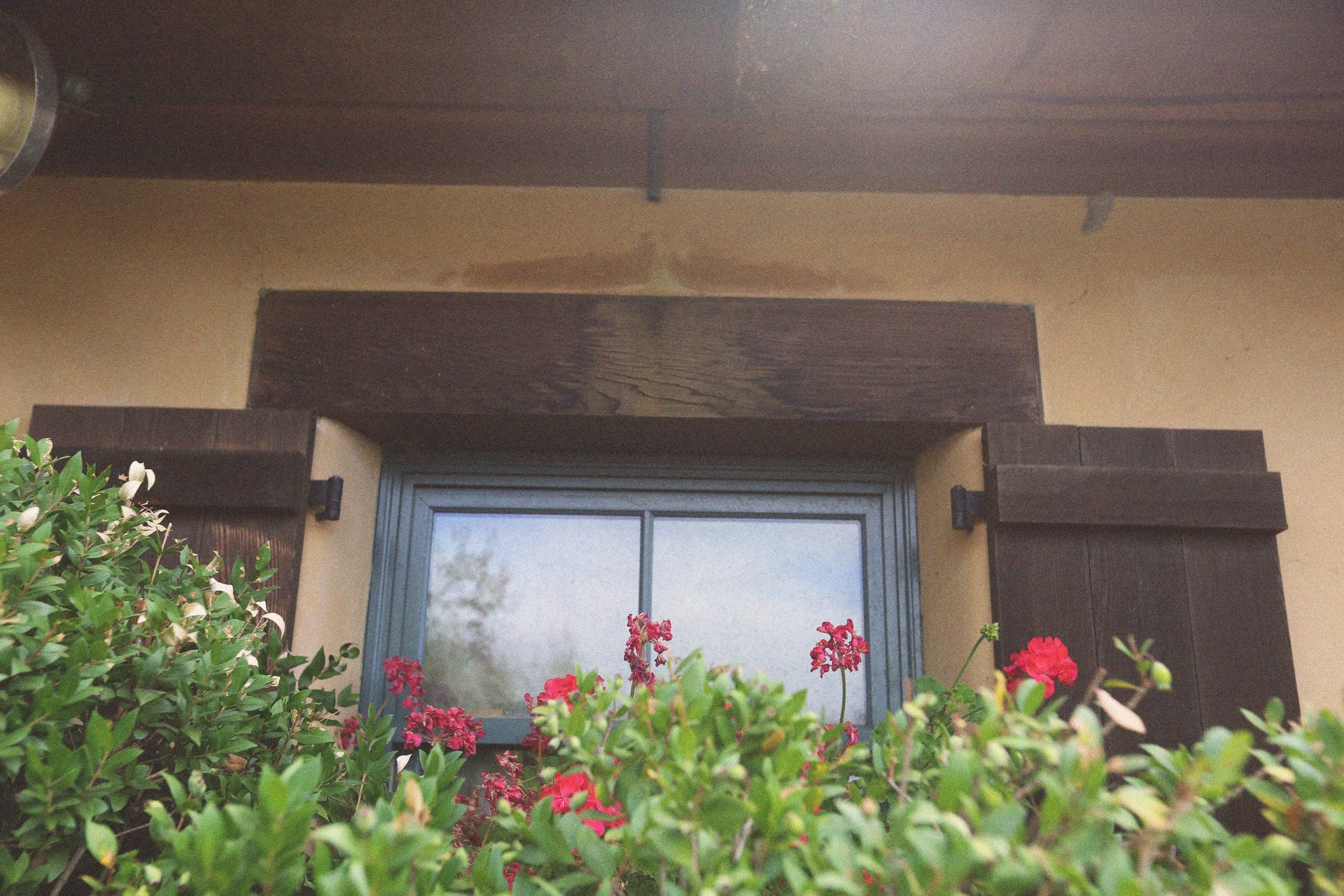XT3A5229 copy.jpg