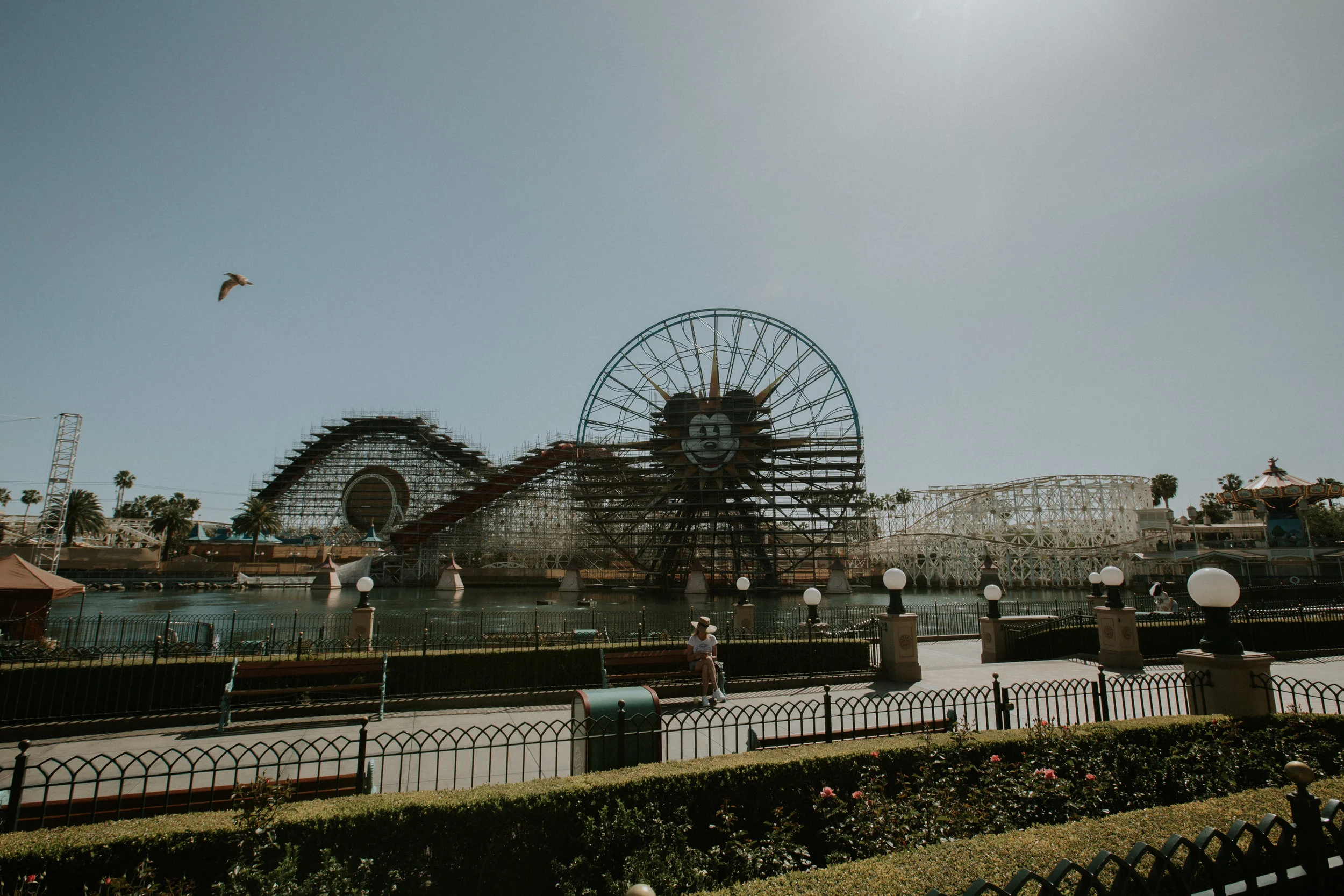 XT3A3733Disney.jpg