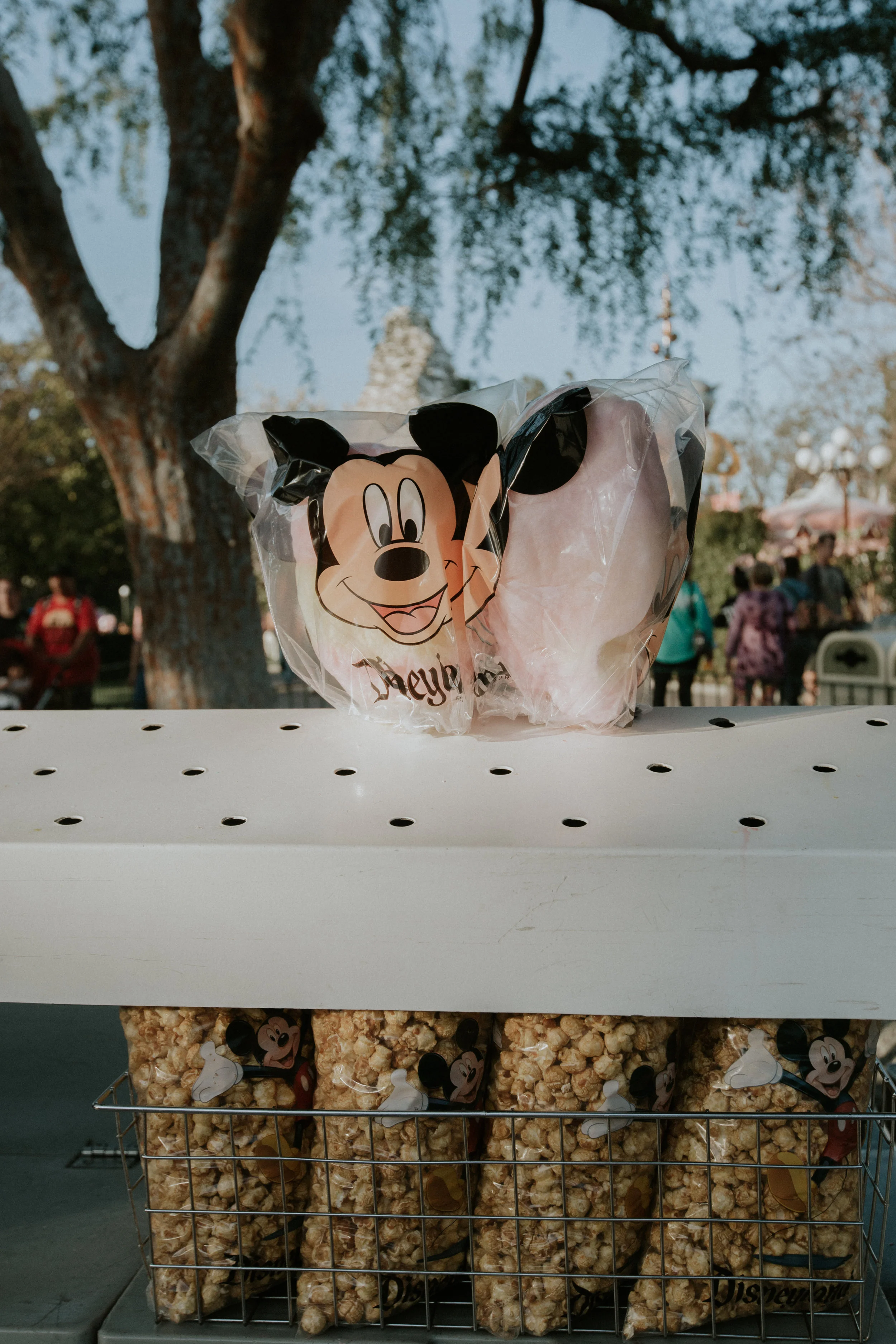 XT3A3960Disney.jpg
