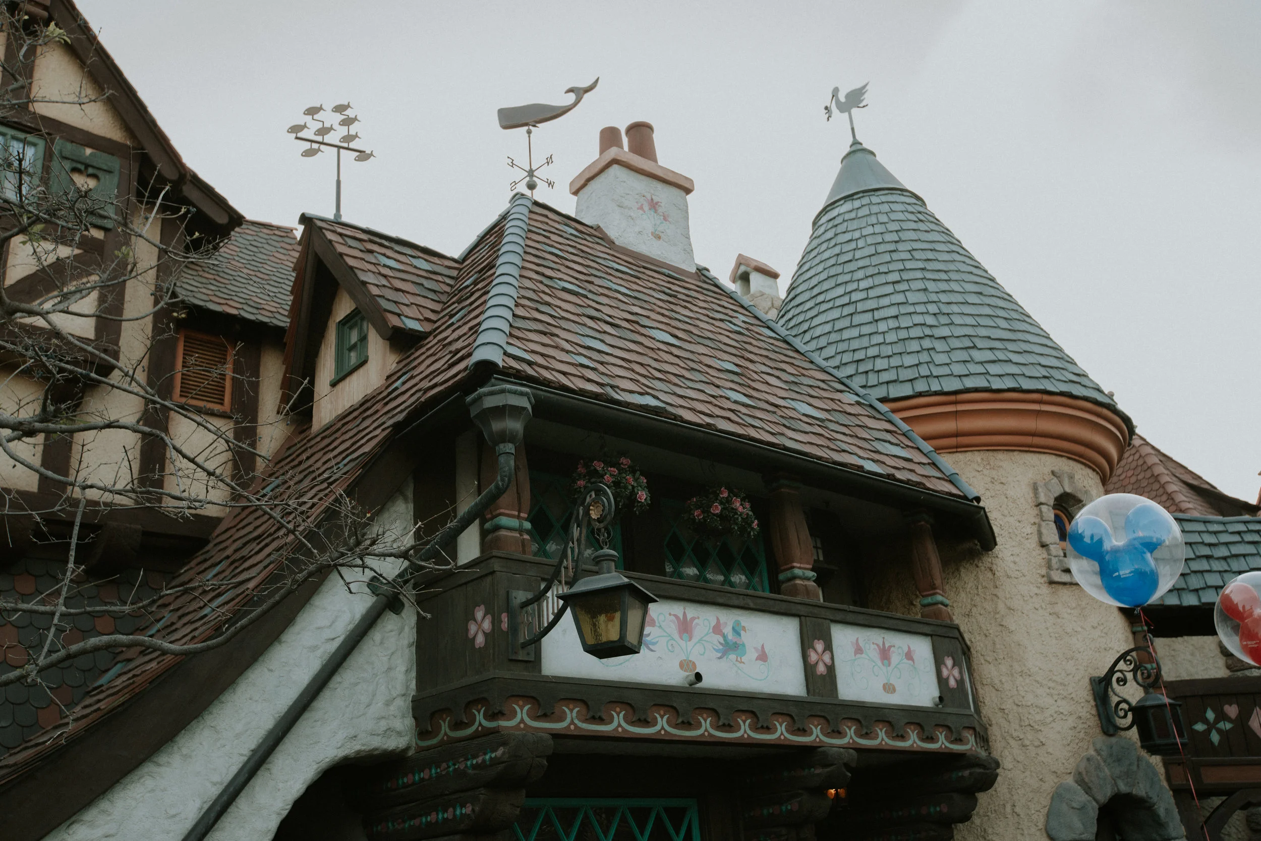XT3A4167Disney.jpg