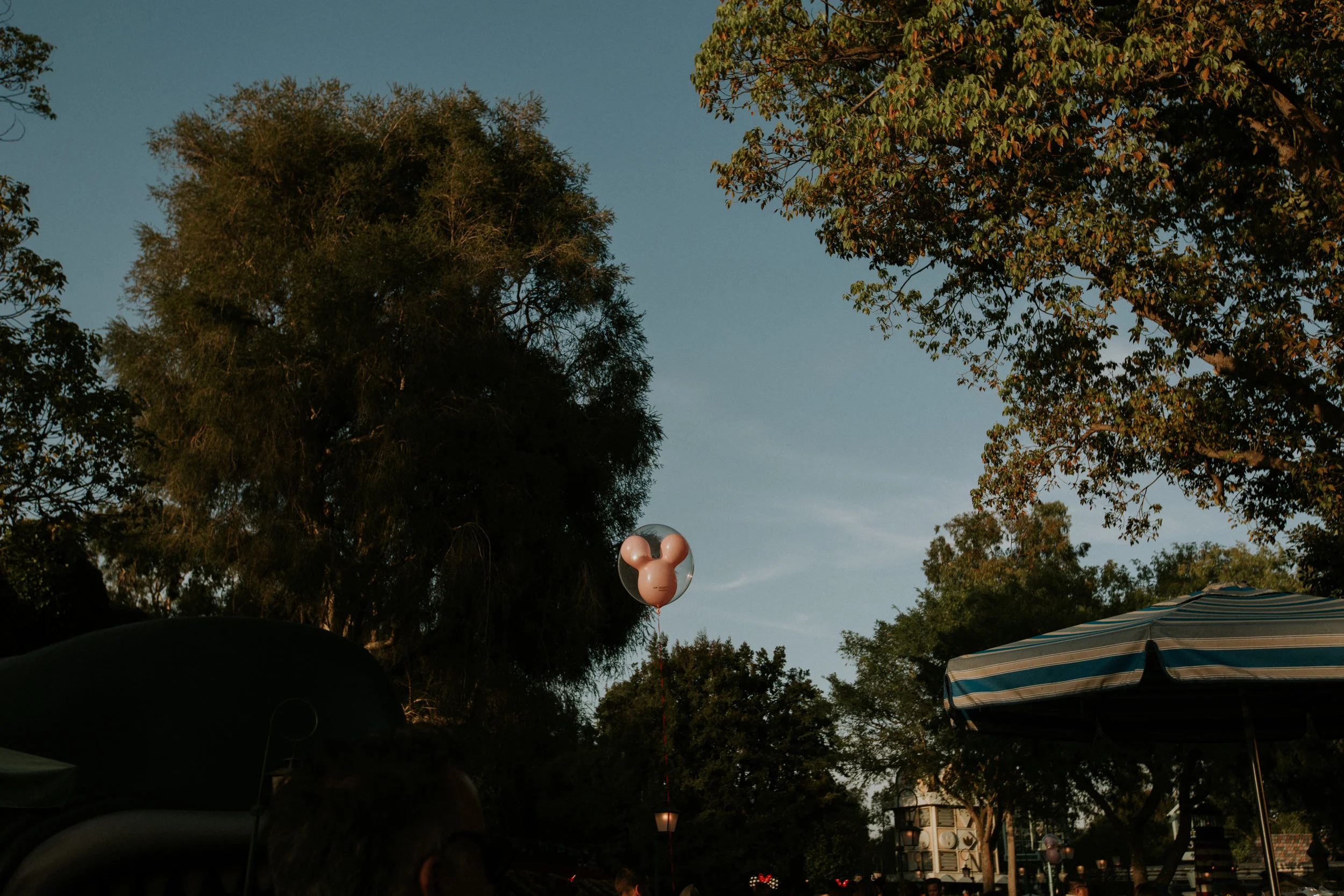 XT3A4288Disney.jpg