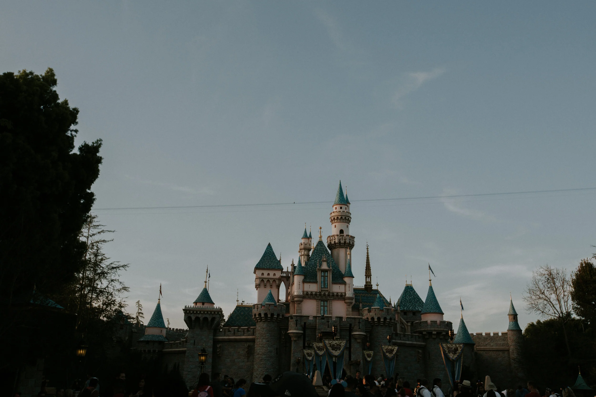 XT3A4323Disney.jpg