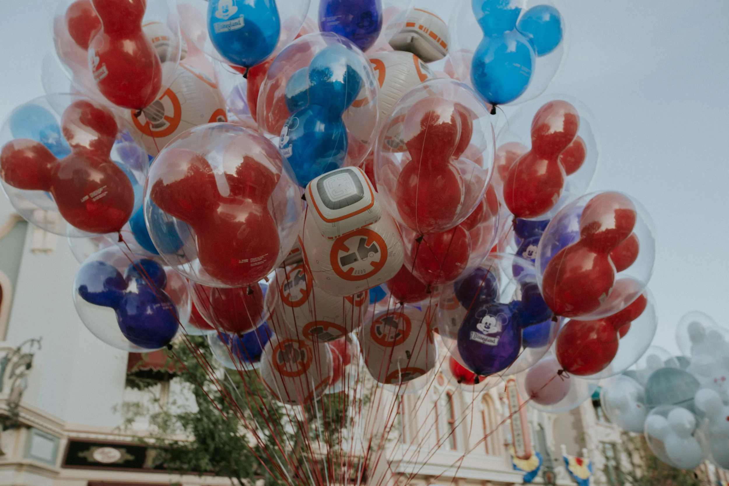 XT3A4331Disney.jpg