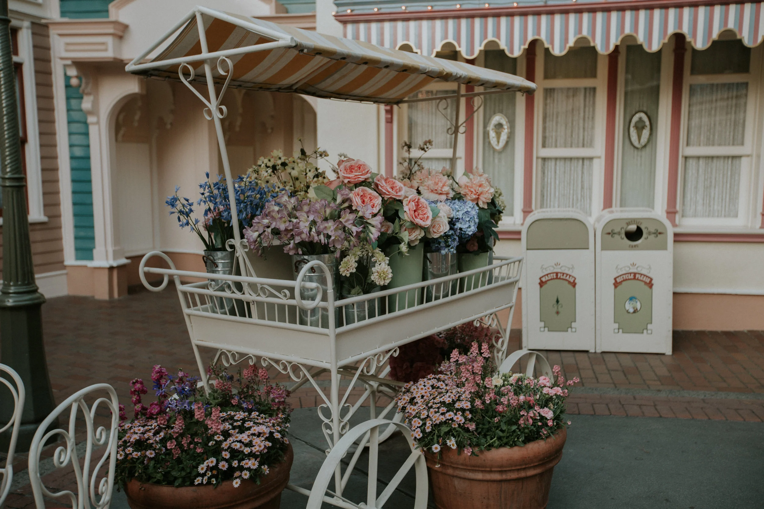 XT3A4338Disney.jpg