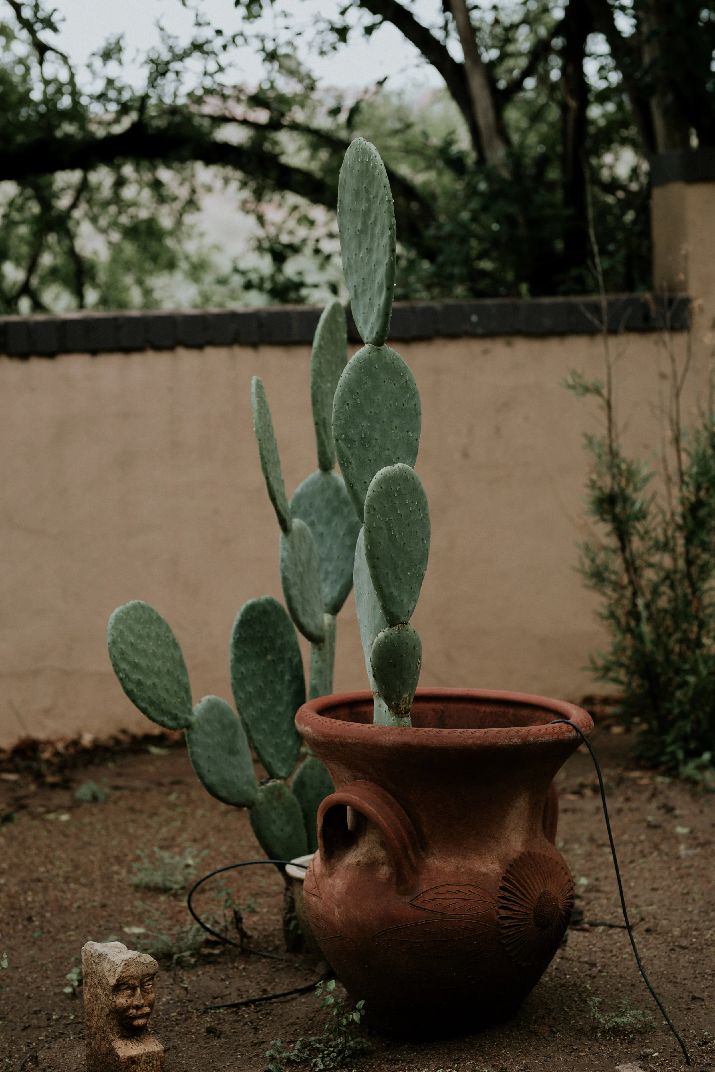 XT3A4985File_.jpg