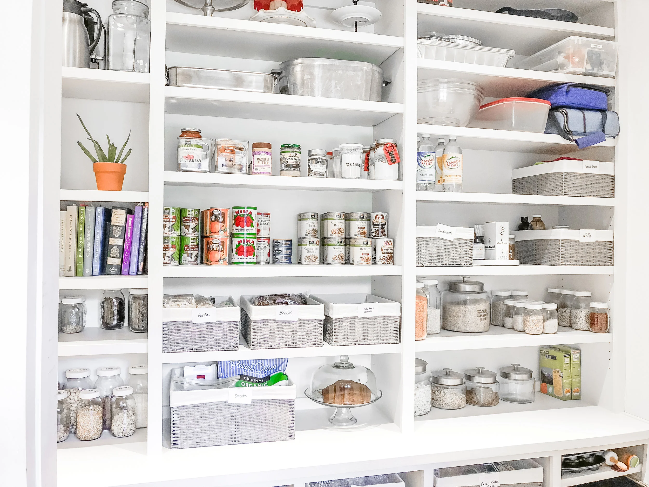 USEpantryshelves (1 of 1).jpg